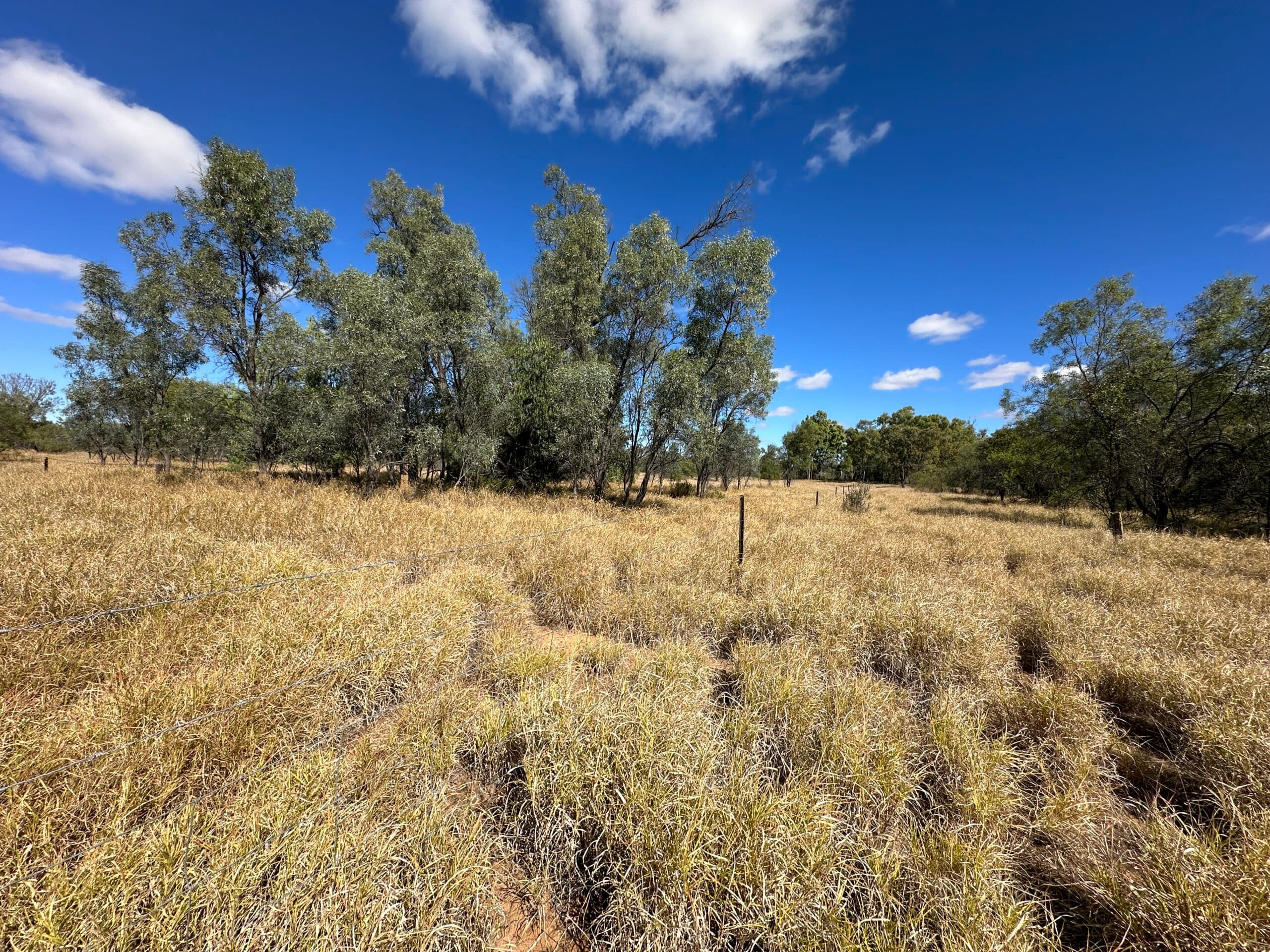 7/1 Wride Street, Tarneit - Thumbnail 5