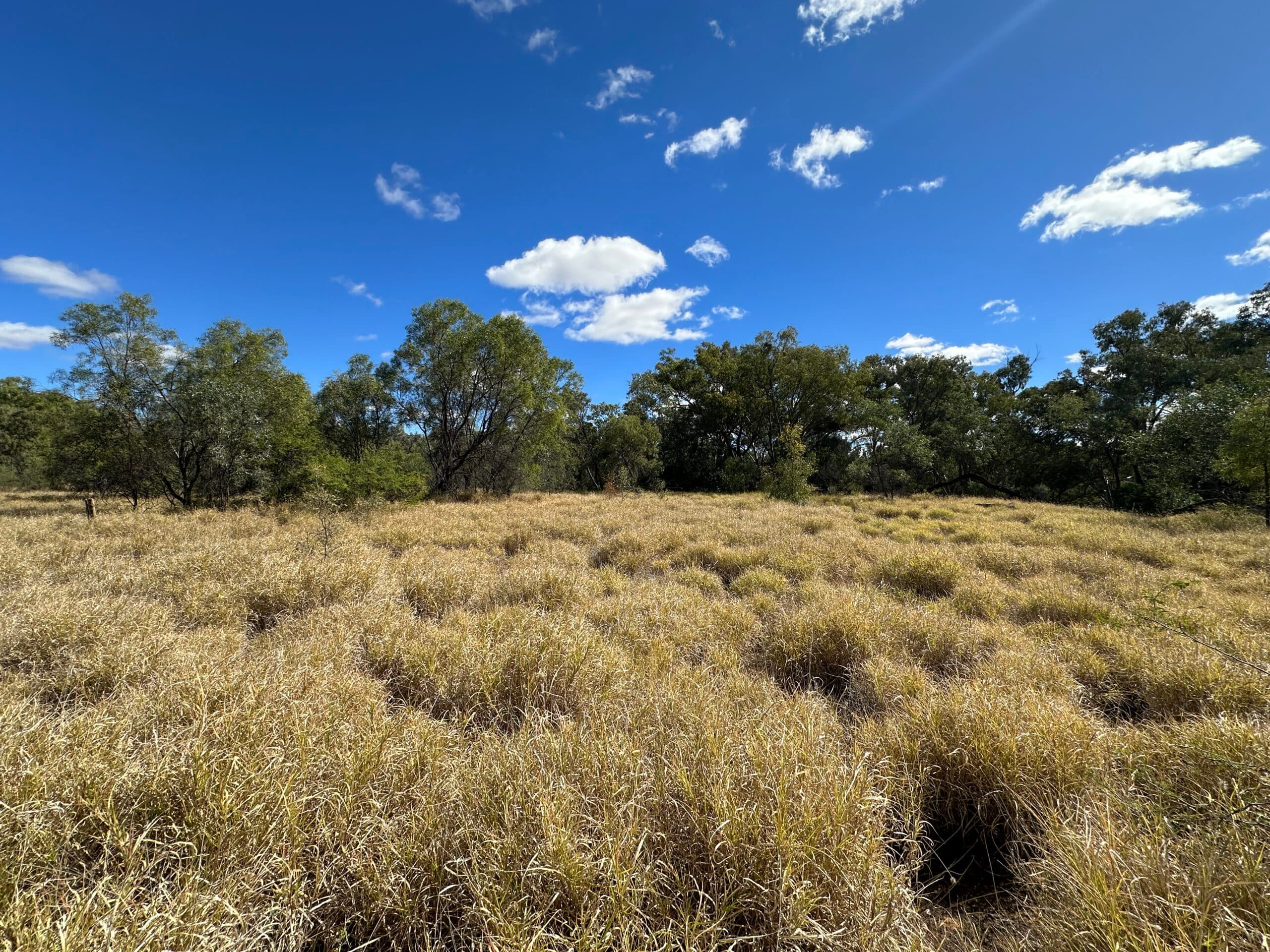 7/1 Wride Street, Tarneit - Thumbnail 6