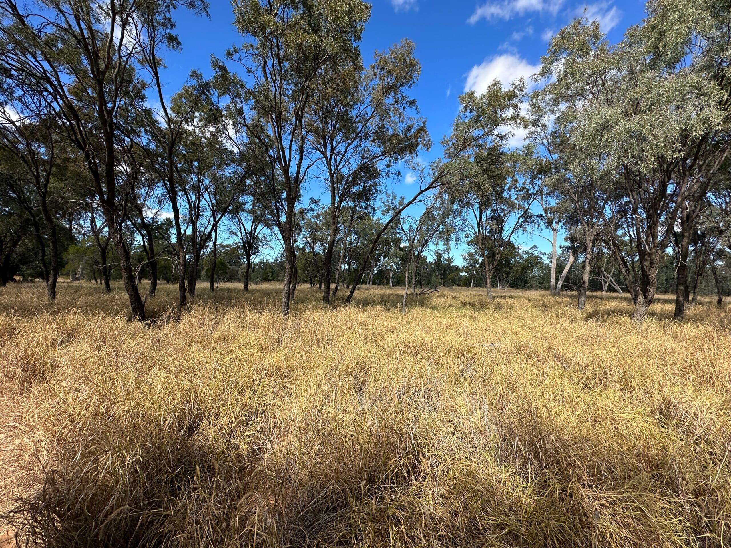 7/1 Wride Street, Tarneit - Thumbnail 7