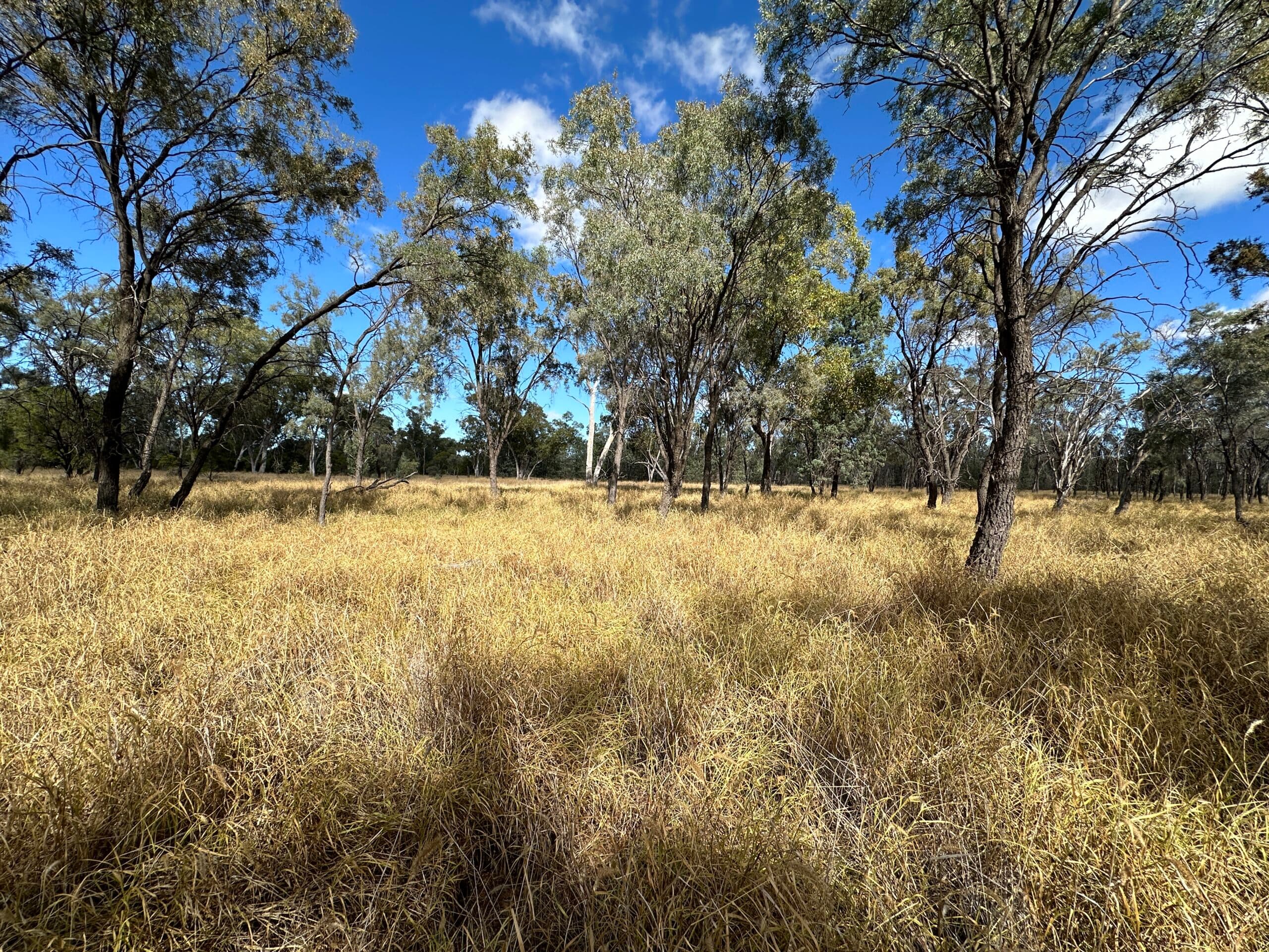 7/1 Wride Street, Tarneit - Thumbnail 8