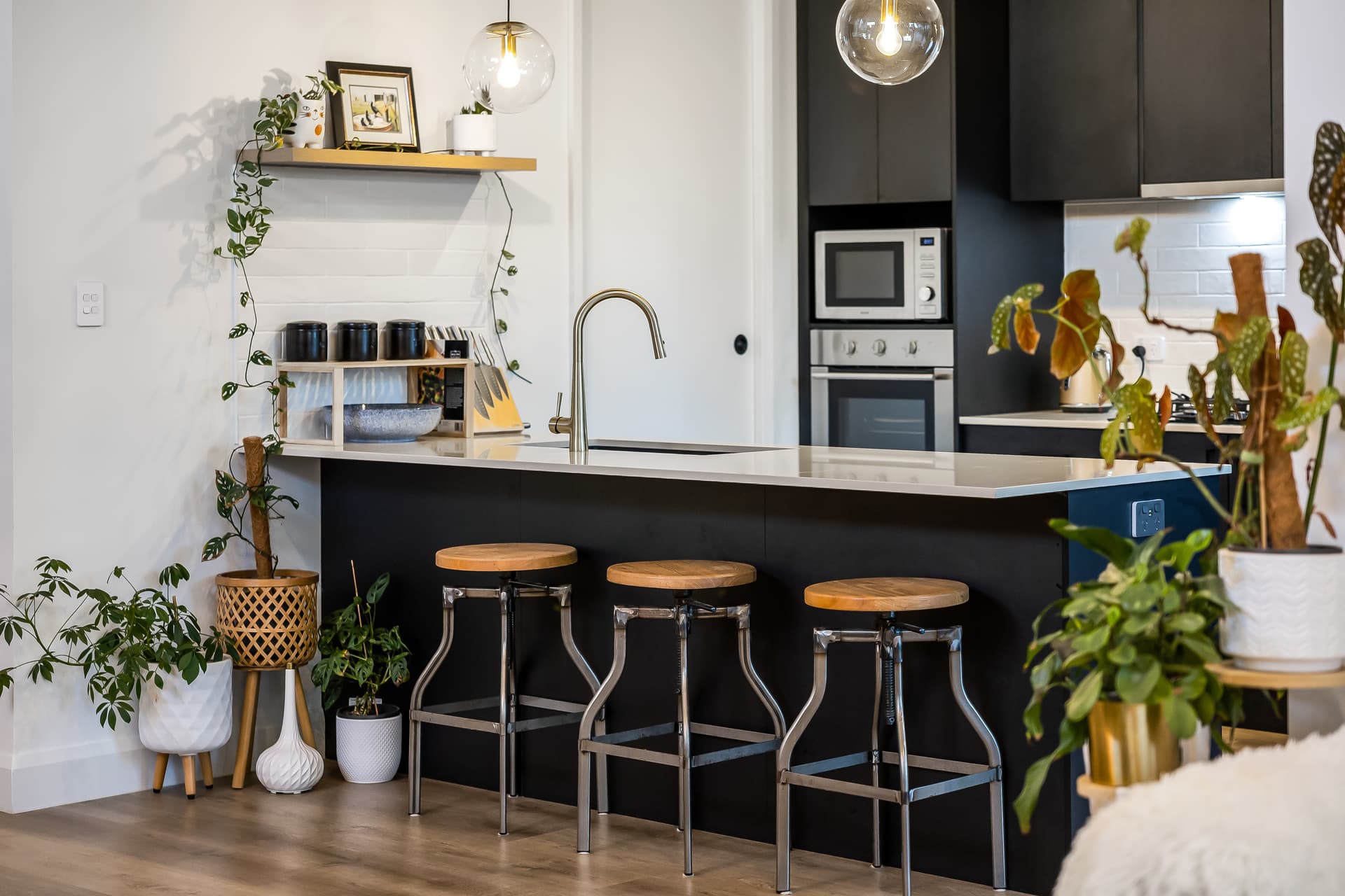 205A Black Road, Flagstaff Hill - Thumbnail 5