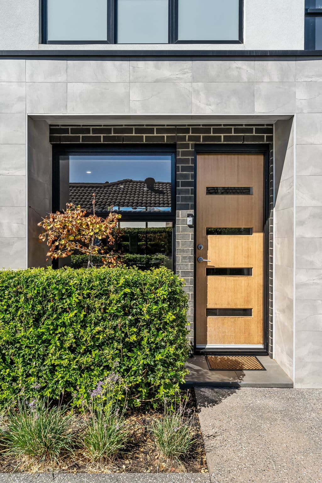 8E Packard Street, North Plympton - Thumbnail 3