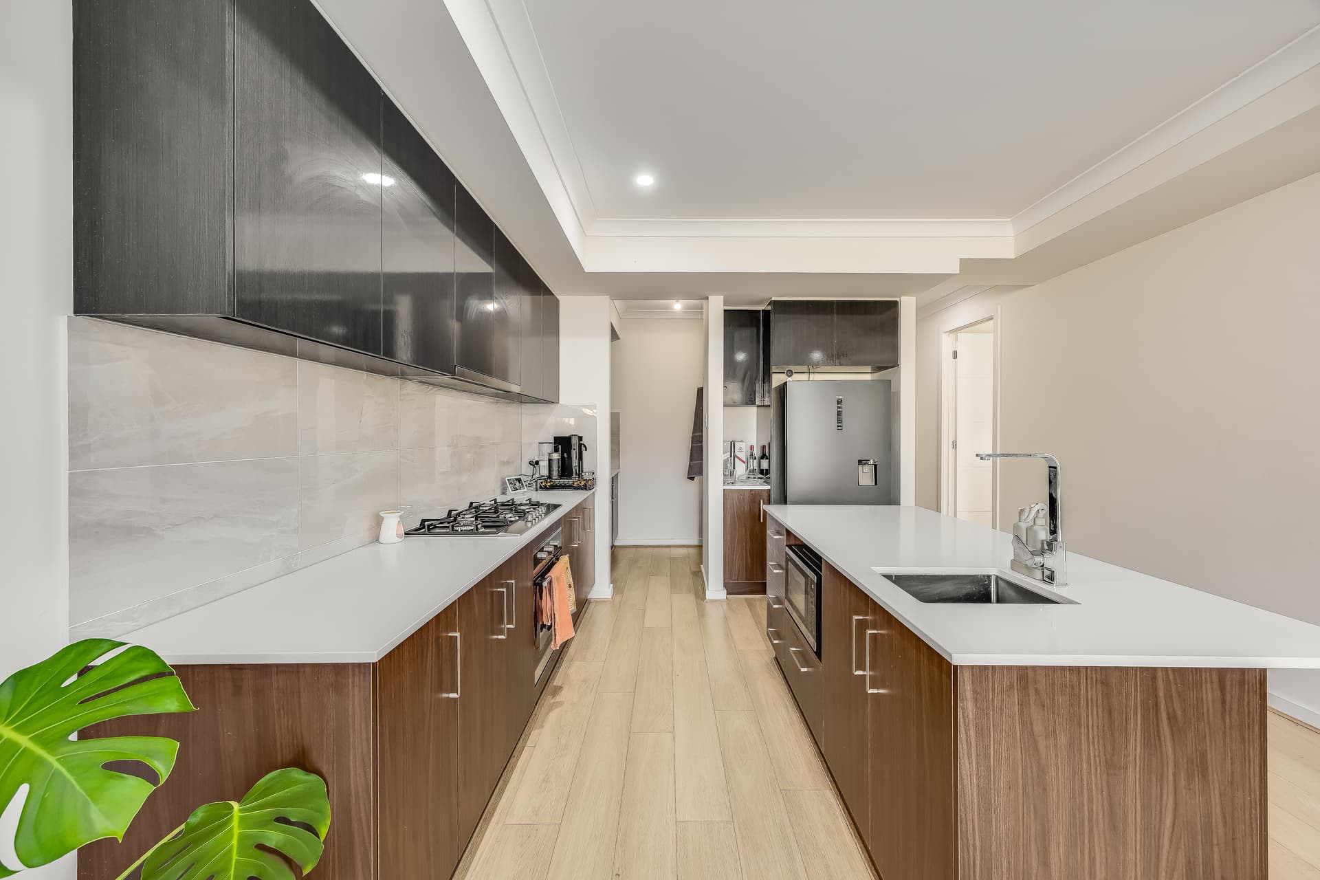 38B Audrey Street, Ascot Park - Thumbnail 3