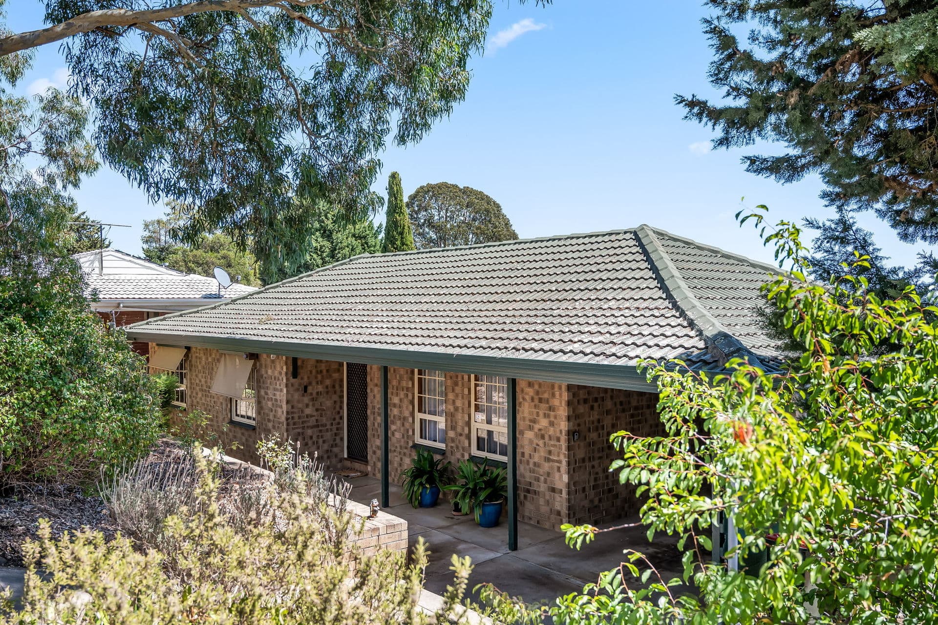 73 Pine Drive, Aberfoyle Park - Thumbnail 2