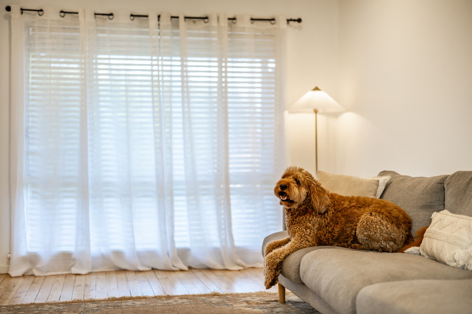 20 Minkie Avenue, Mitchell Park - Thumbnail 6