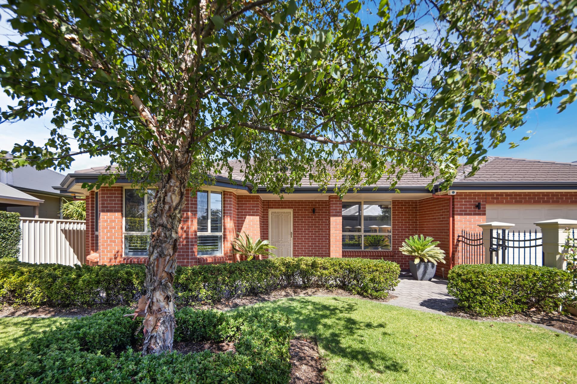20 Mcgilp Avenue, Glengowrie - Image 1