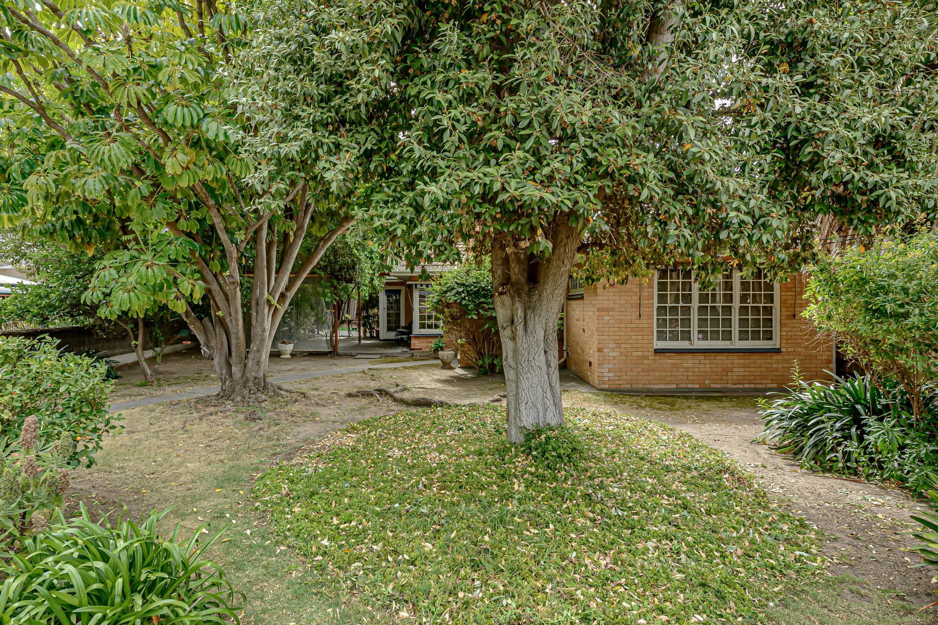 1 Salisbury Street, Somerton Park - Thumbnail 4