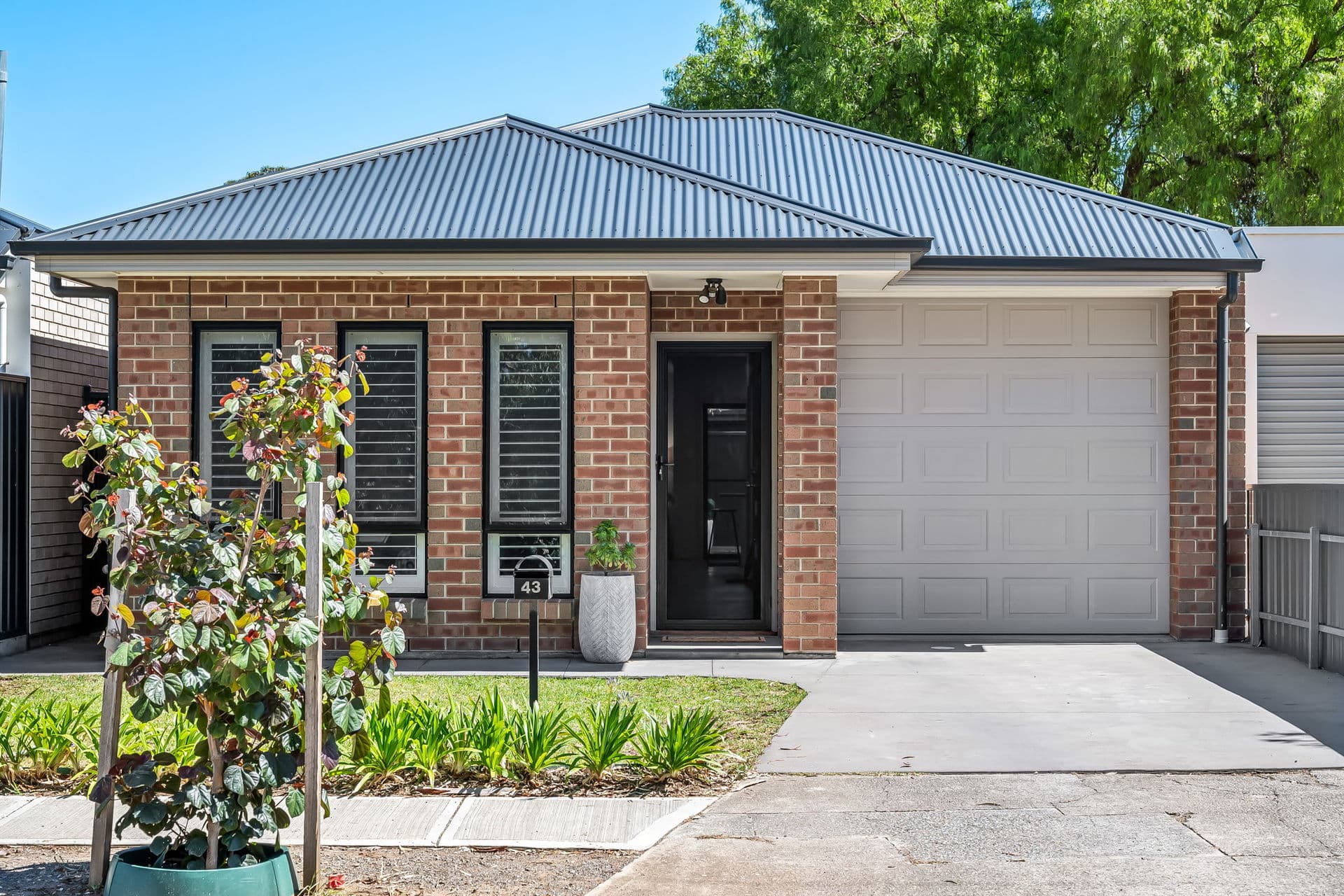 43 Denham Avenue, Morphettville - Image 1