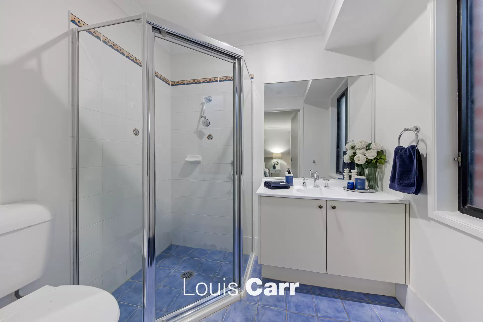 47 Bisogni Dr, Cobram - Thumbnail 8
