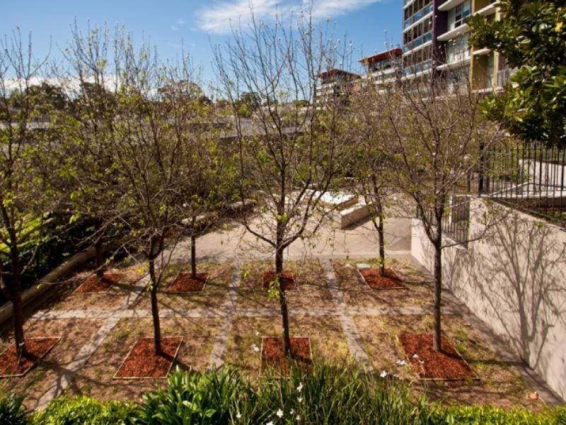 3/69A Darvall Road, West Ryde - Thumbnail 3