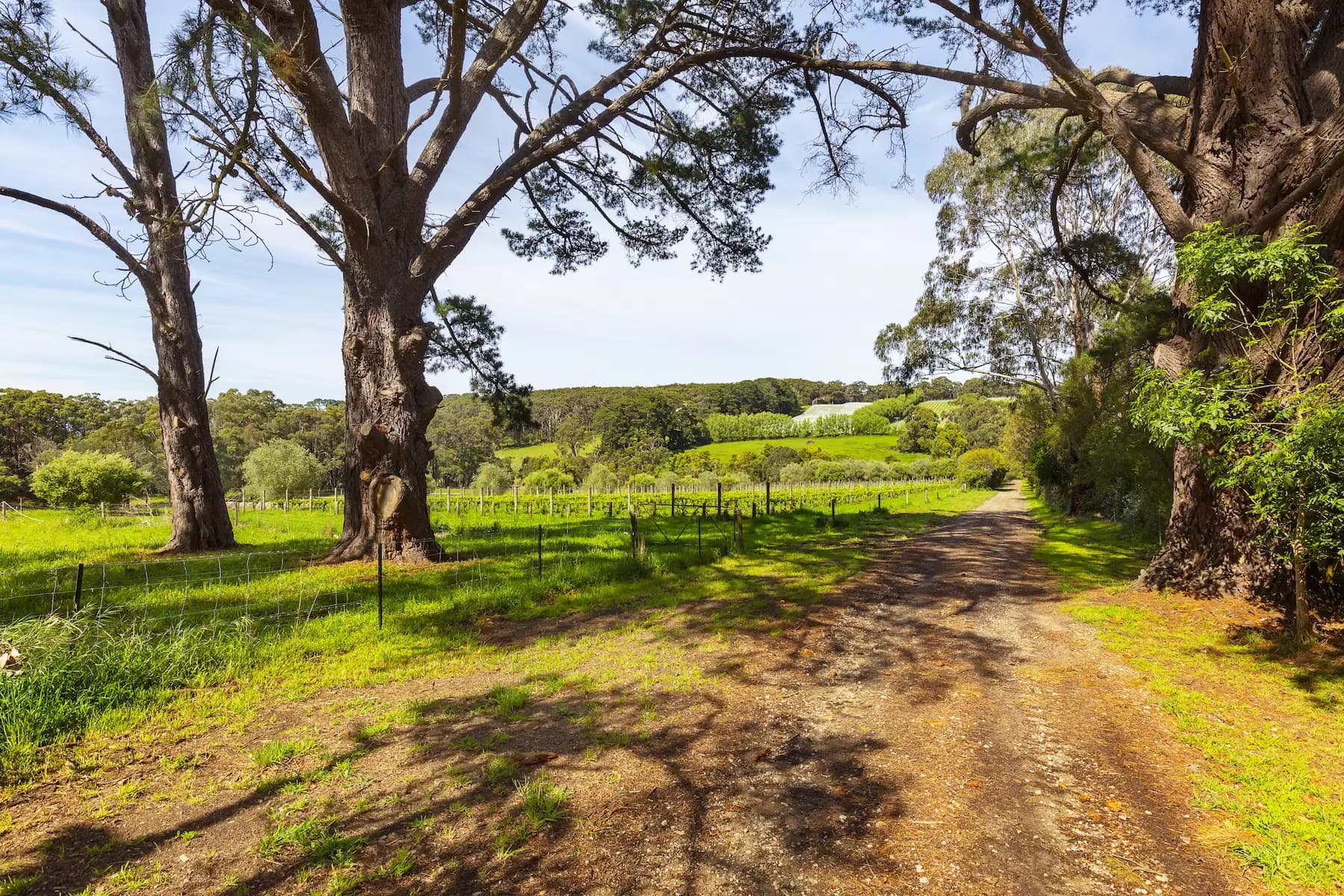 1/33a Lorne Avenue Killara, Ryde - Thumbnail 4