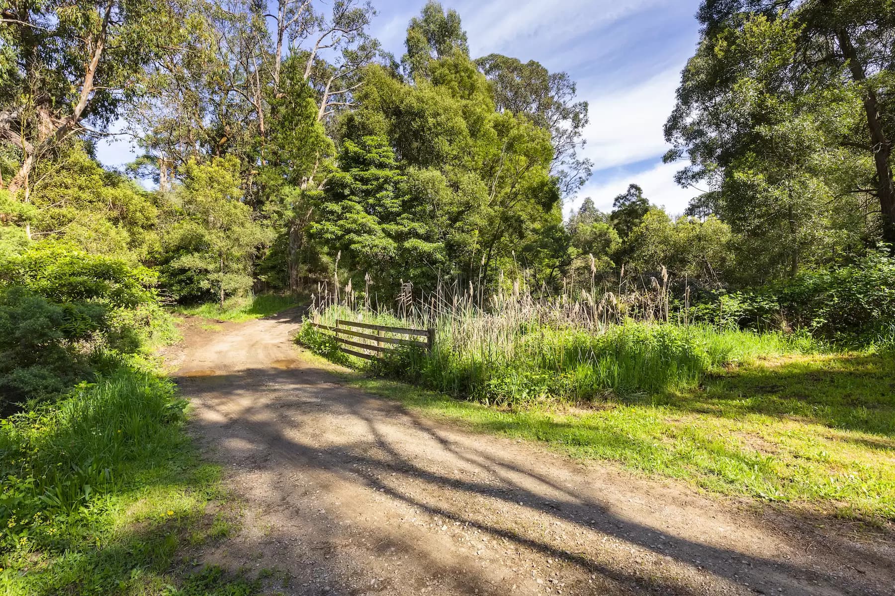 1/33a Lorne Avenue Killara, Ryde - Thumbnail 7