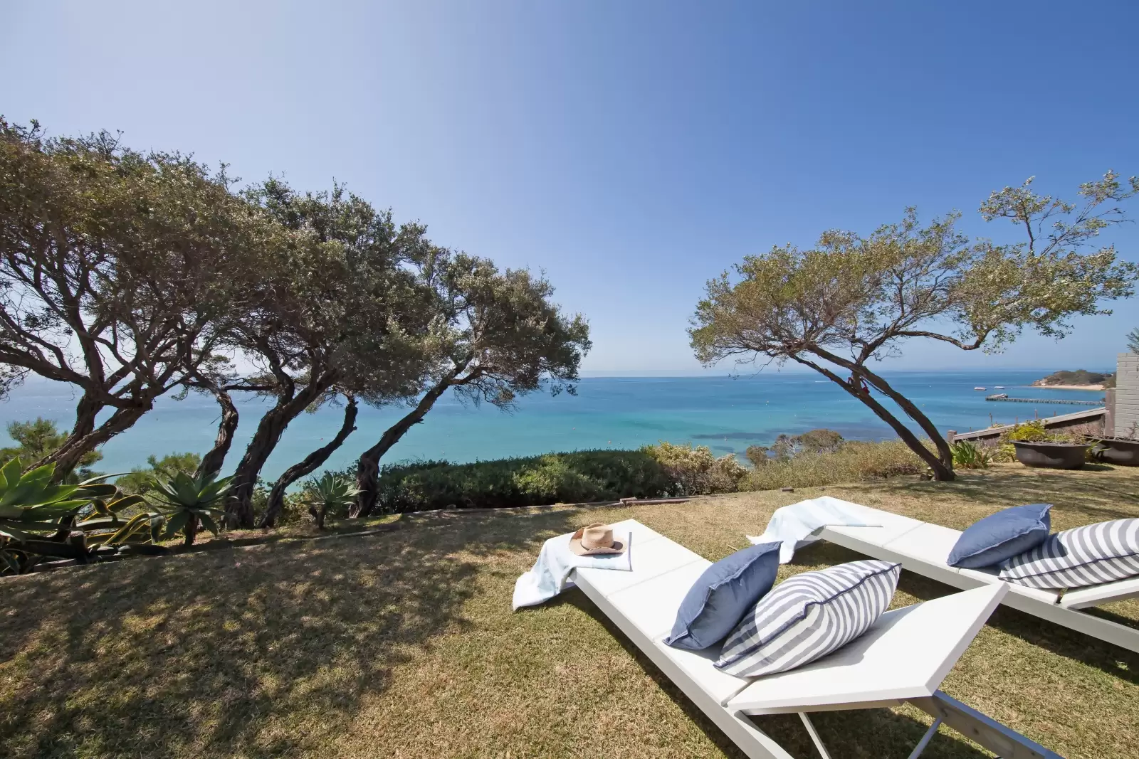 13/247L Burwood Road, Concord, 2137, Concord - Image 1