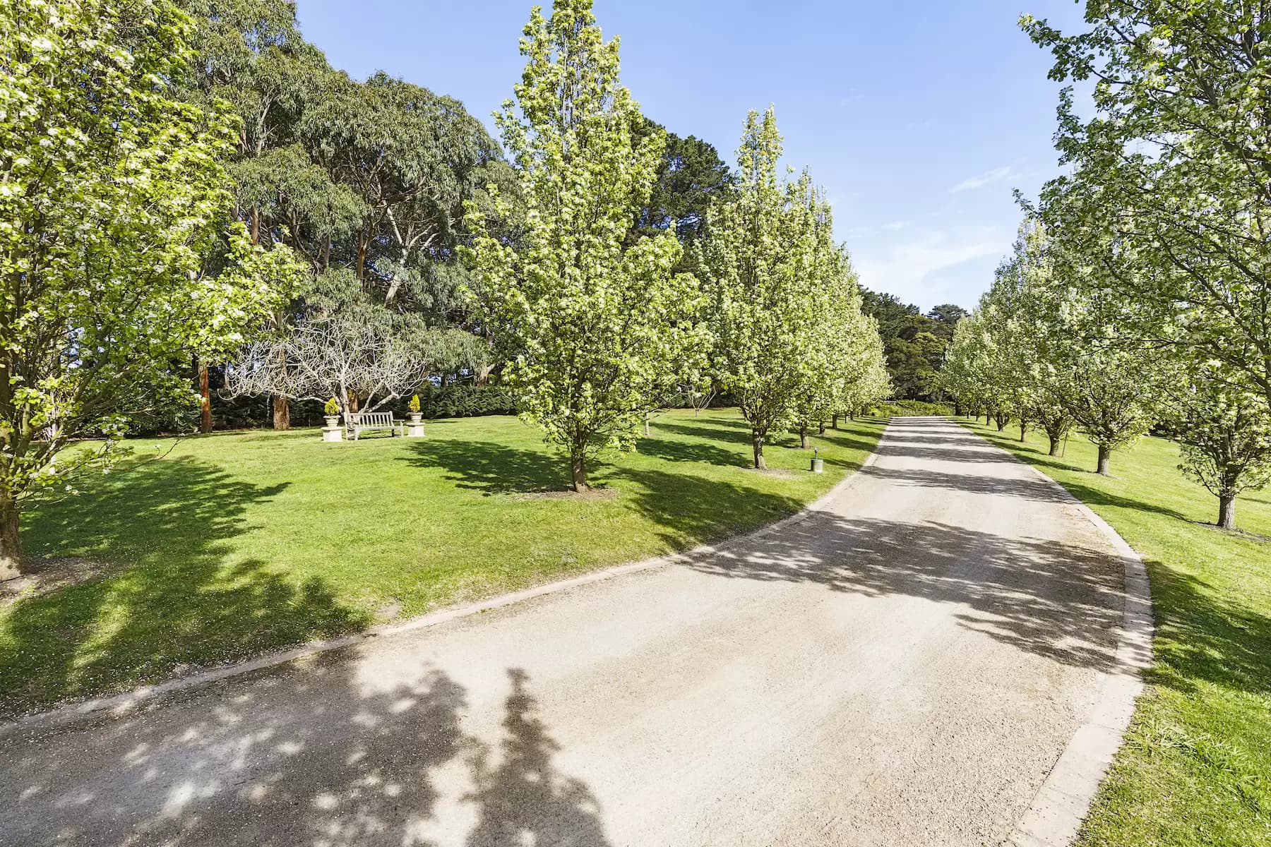 16/52 Renwick Street, Pymble - Thumbnail 5