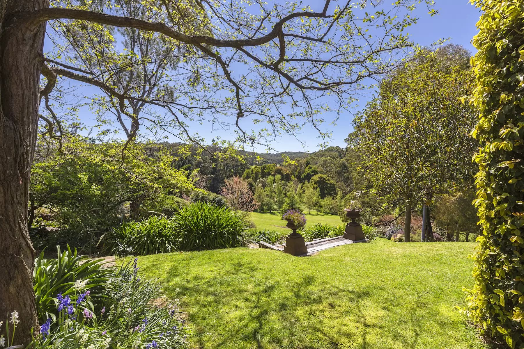 9/50 Shadforth Street, Mosman, Mosman - Thumbnail 3