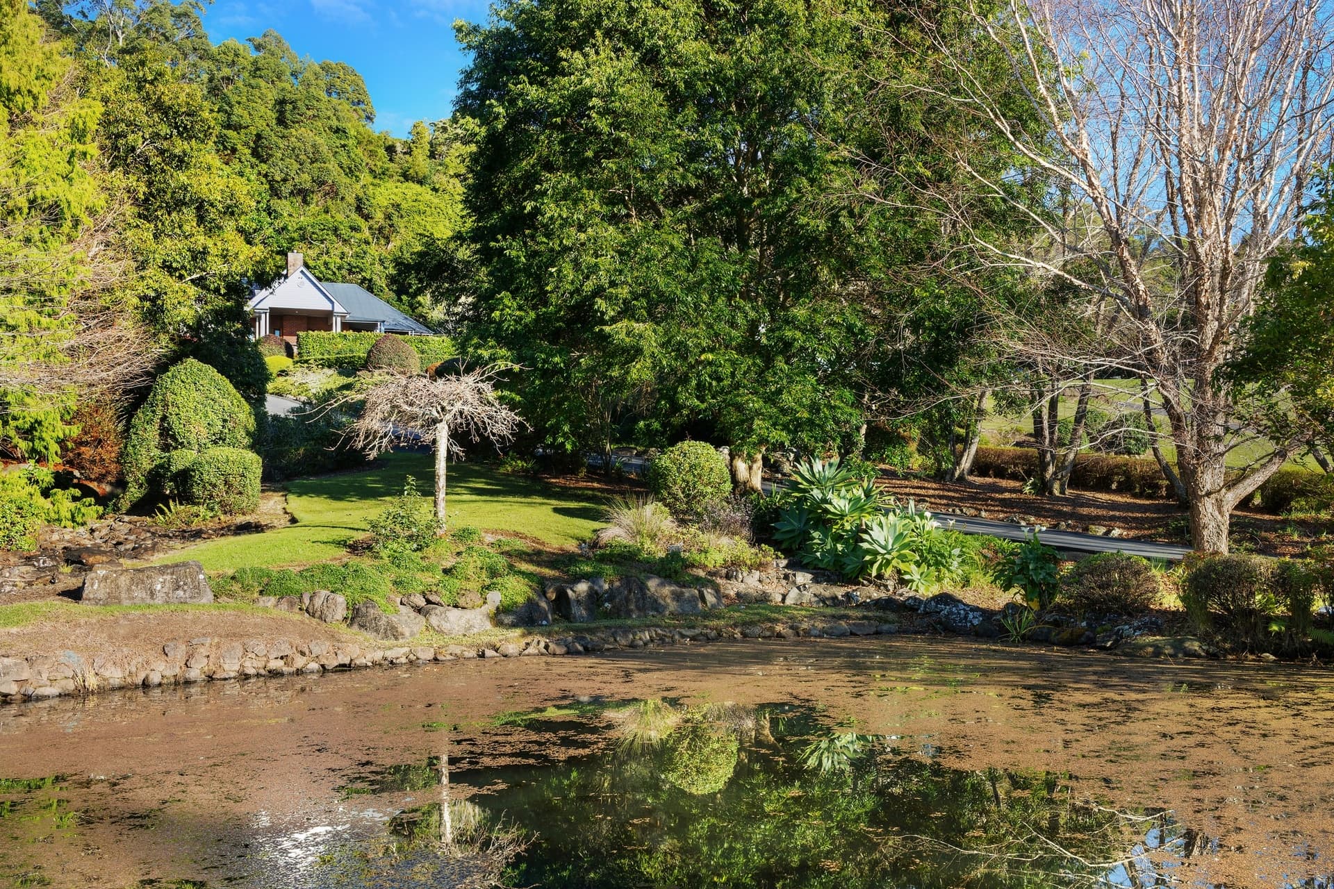 404 Error, Tamborine Mountain - Thumbnail 4