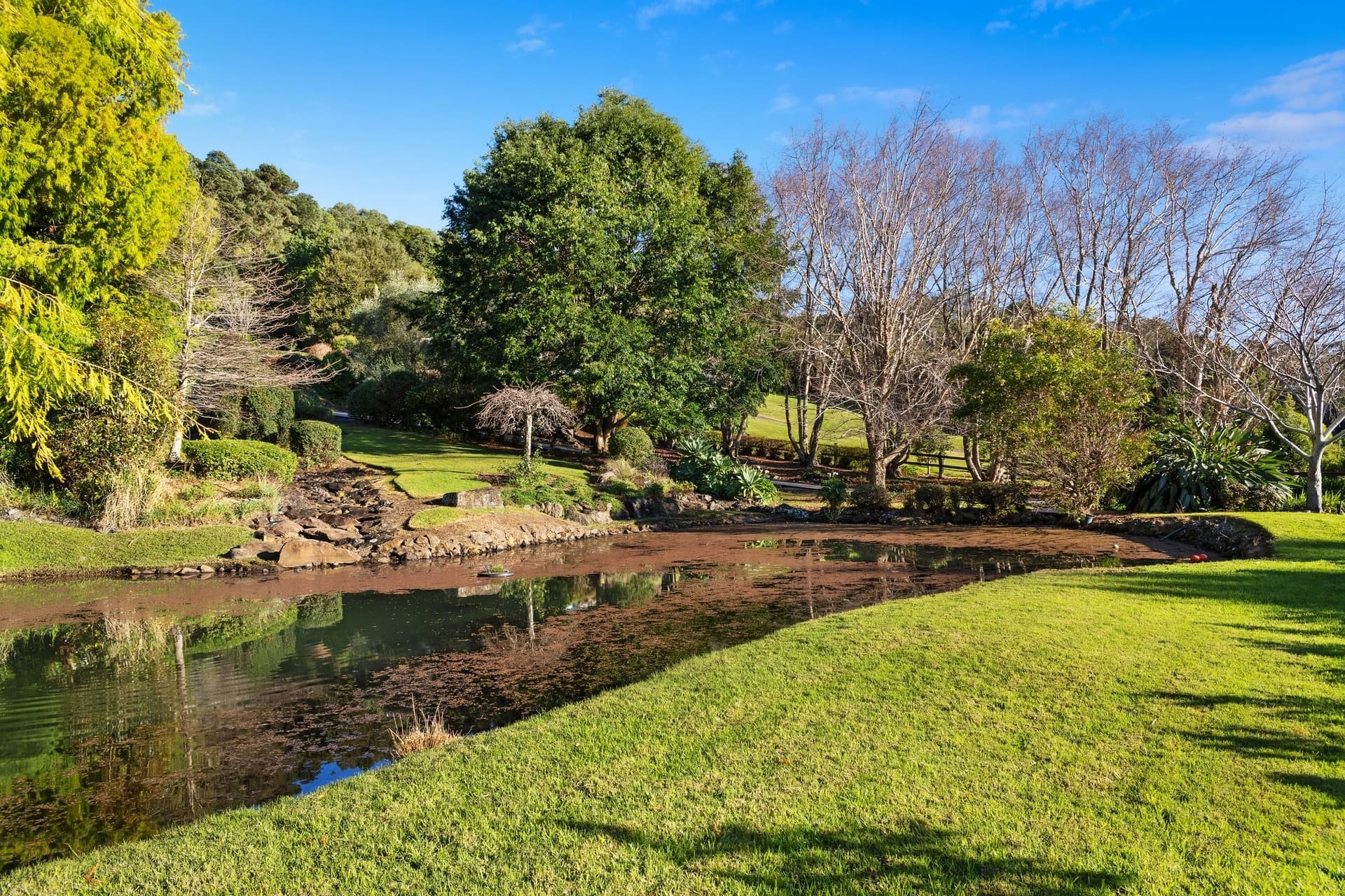 404 Error, Tamborine Mountain - Thumbnail 6