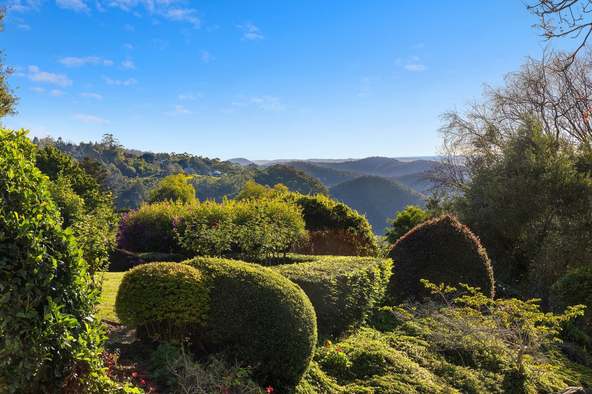 404 Error, Tamborine Mountain - Thumbnail 7