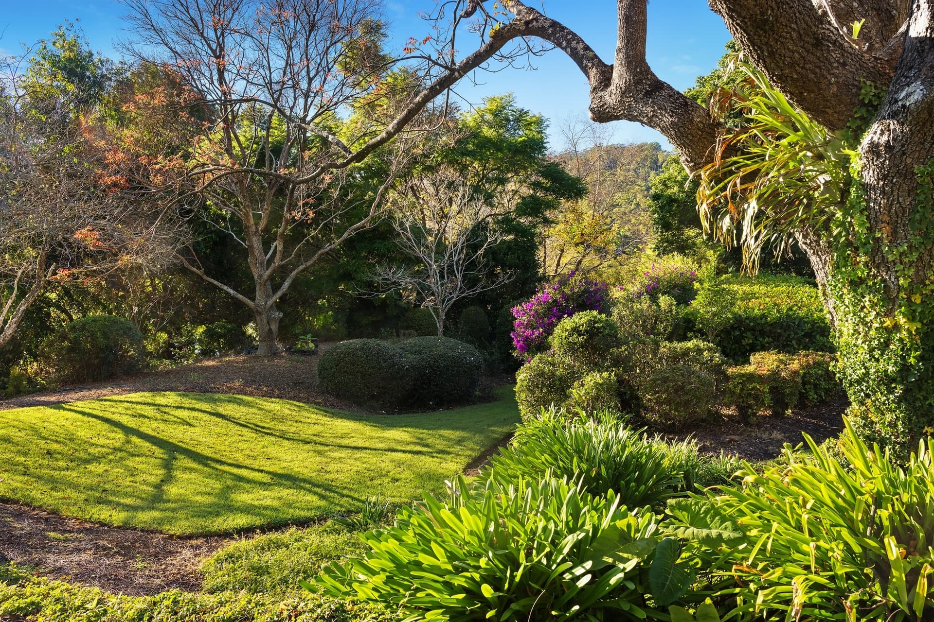 404 Error, Tamborine Mountain - Thumbnail 8
