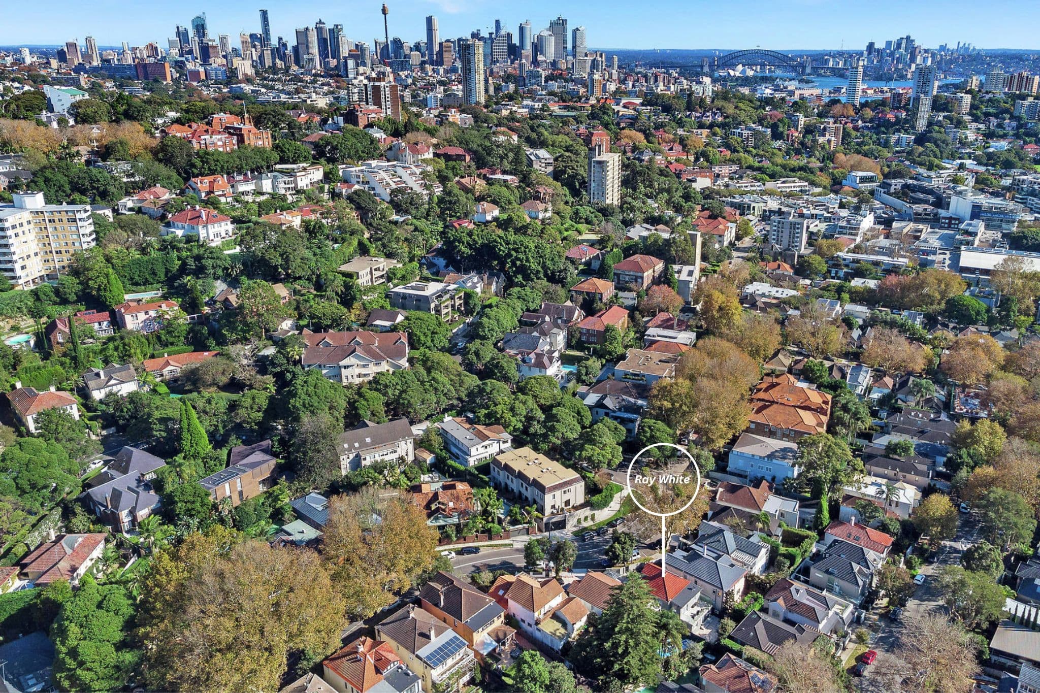 50 Manning Road, Double Bay NSW 2028, Double Bay - Thumbnail 6