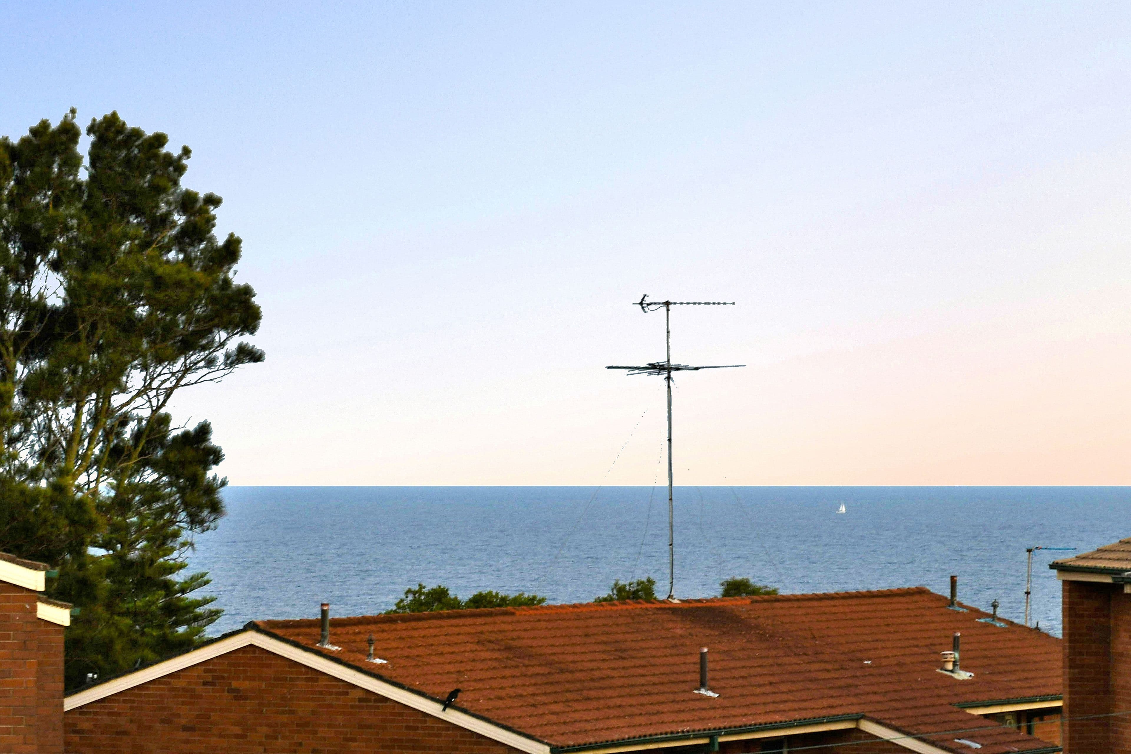 38 Gregory Street, South Coogee NSW 2034, South Coogee - Thumbnail 2