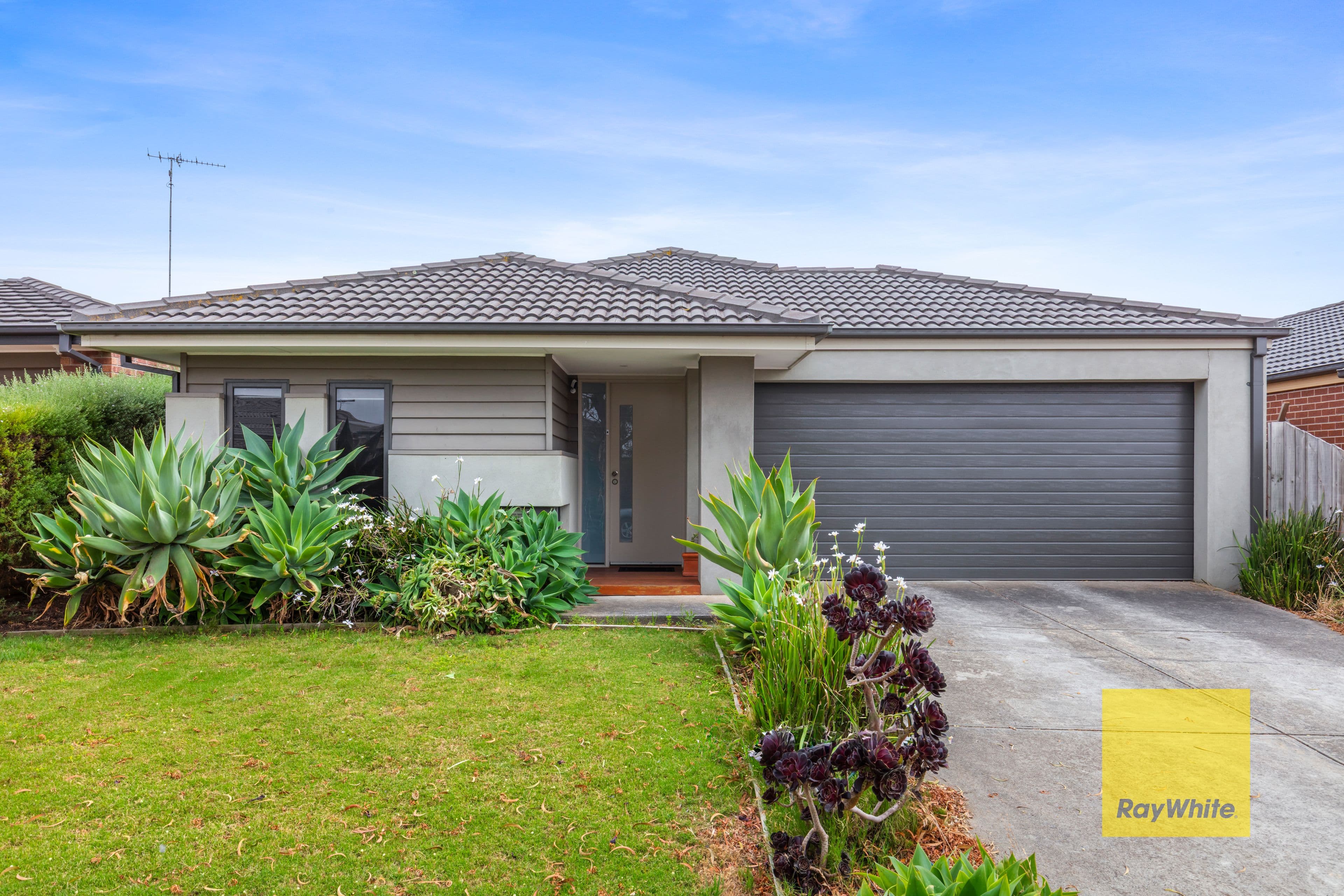 13 Werner Avenue, Marshall VIC 3216, Marshall - Image 1