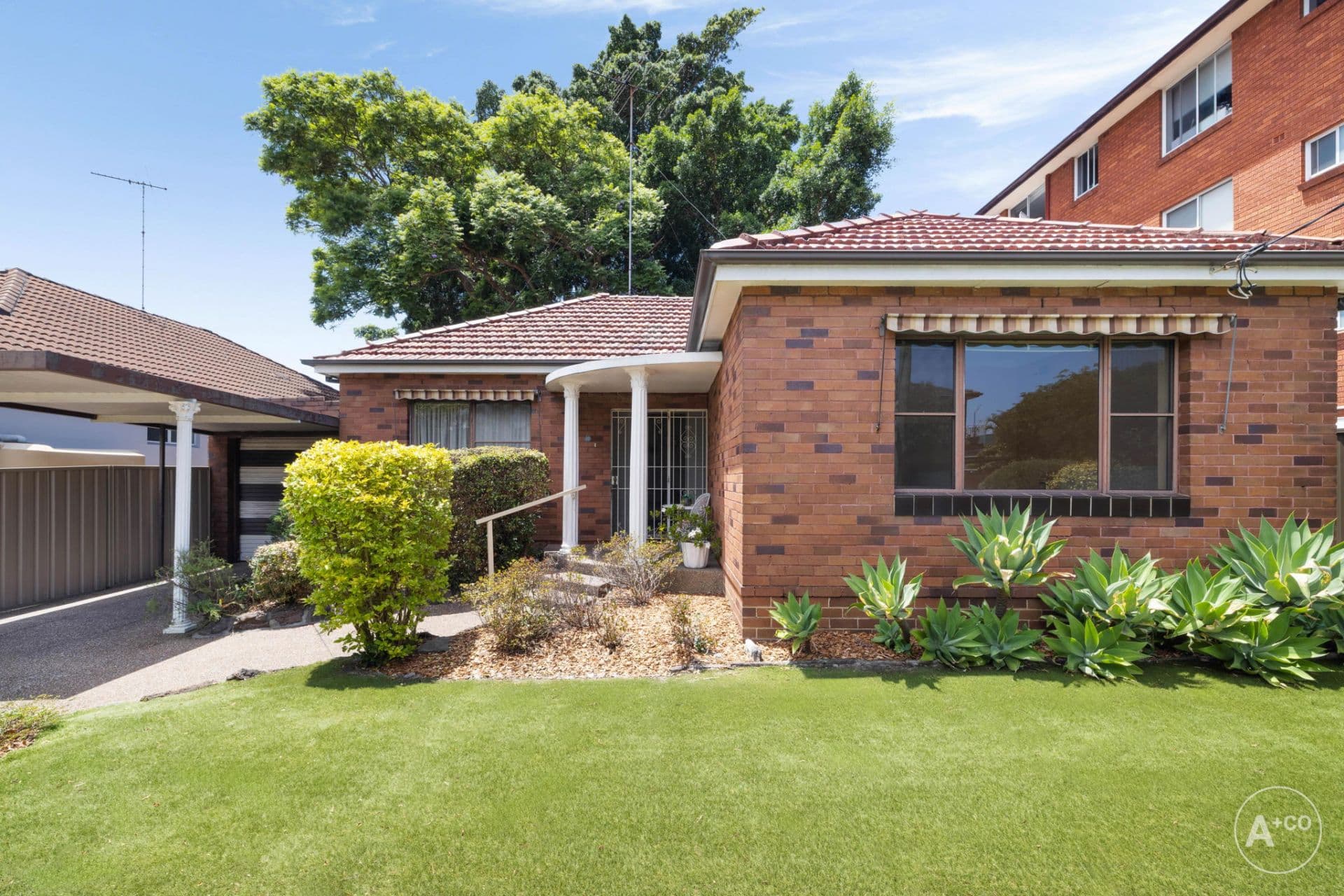 82 Rhodes Street, Eastgardens, Eastgardens - Thumbnail 2
