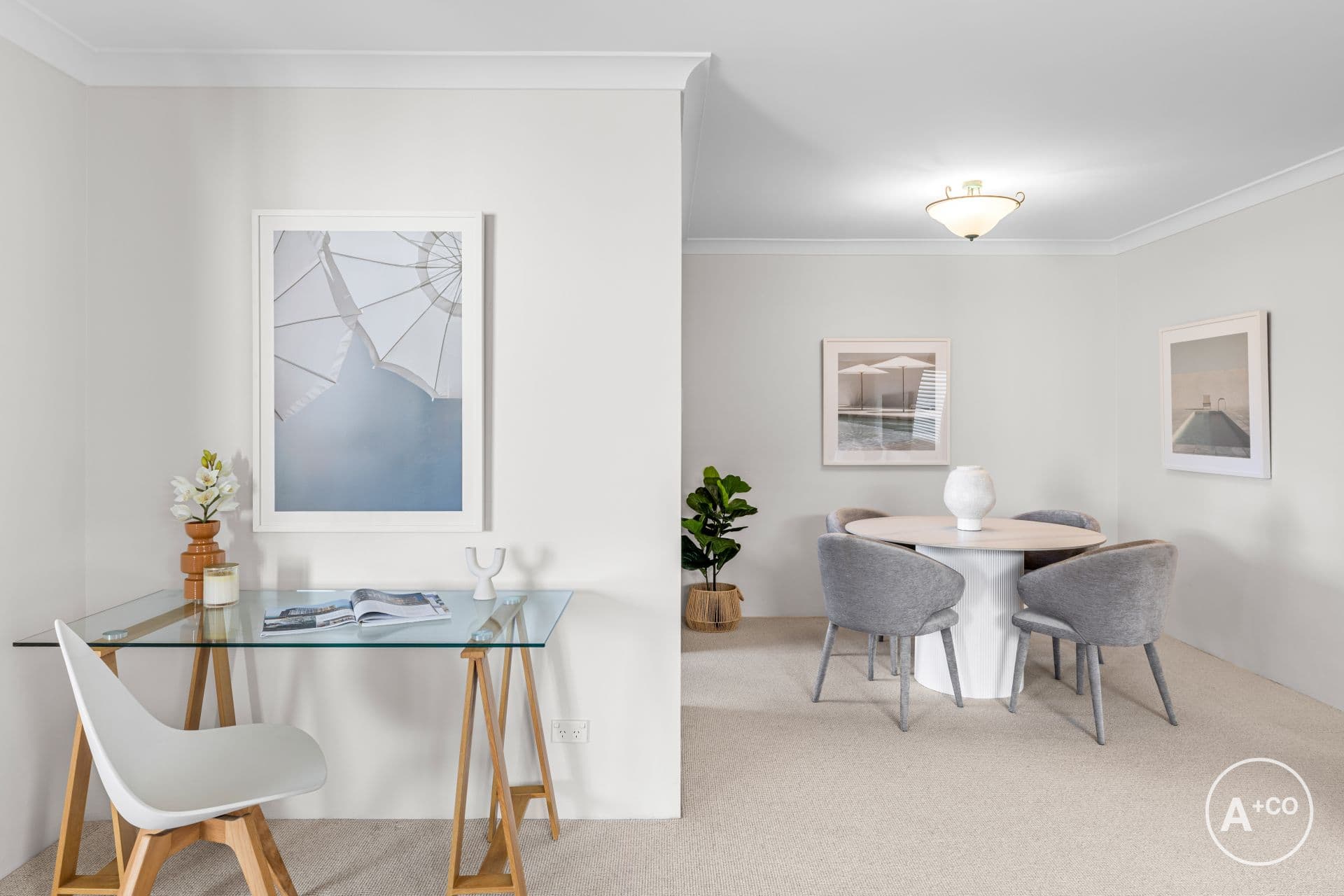 1/20 Carr Street, Coogee, Coogee - Thumbnail 6