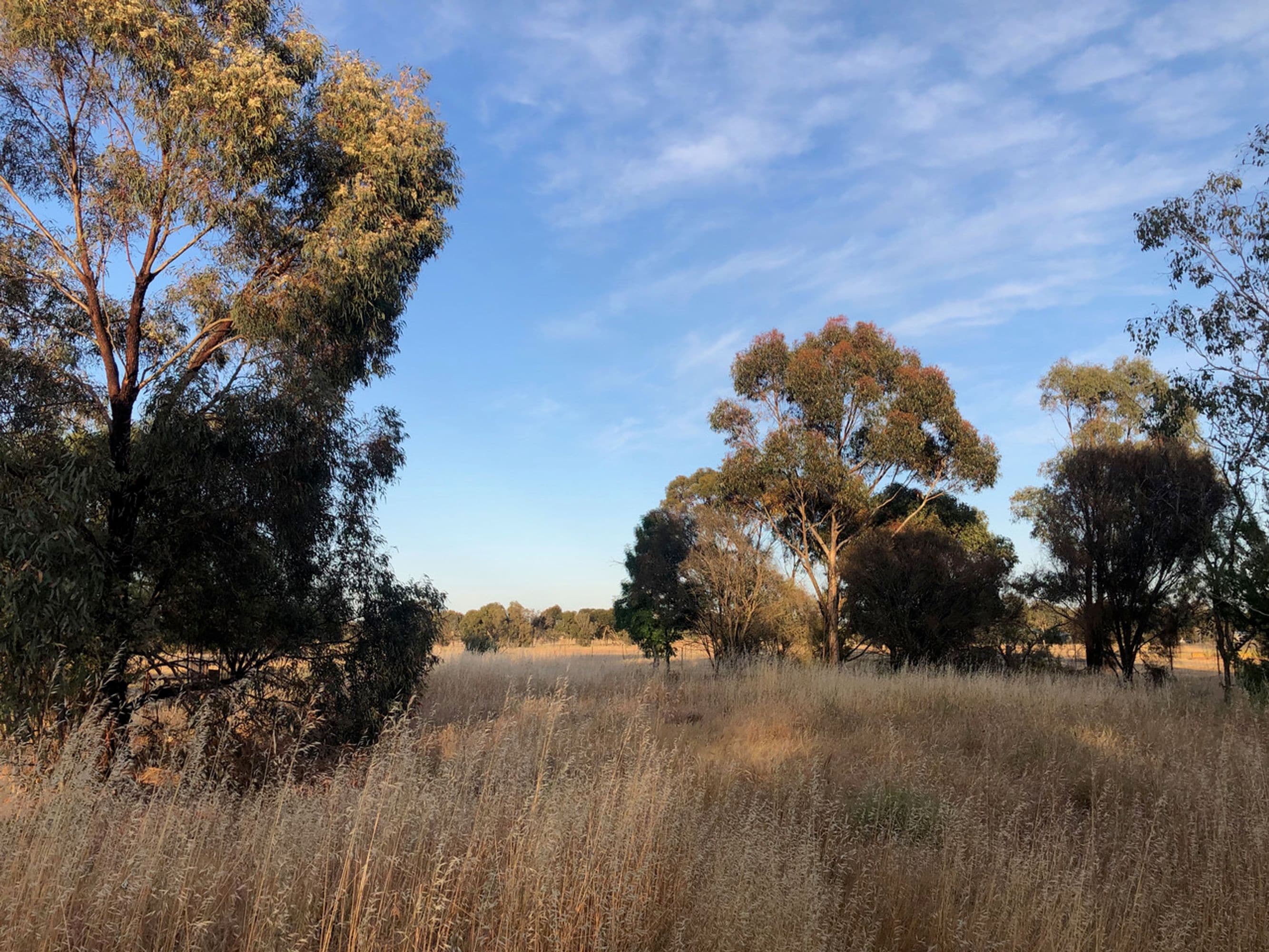 1170 Natimuk-Hamilton Road, Noradjuha VIC 3409, Noradjuha - Thumbnail 7