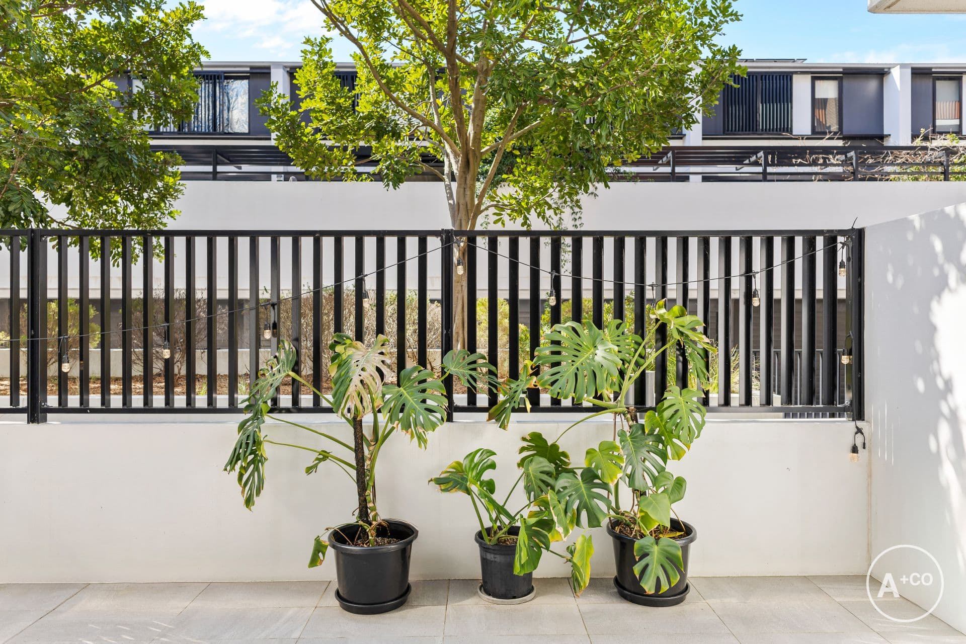 2010/53 Wilson Street, Botany, Botany - Thumbnail 4