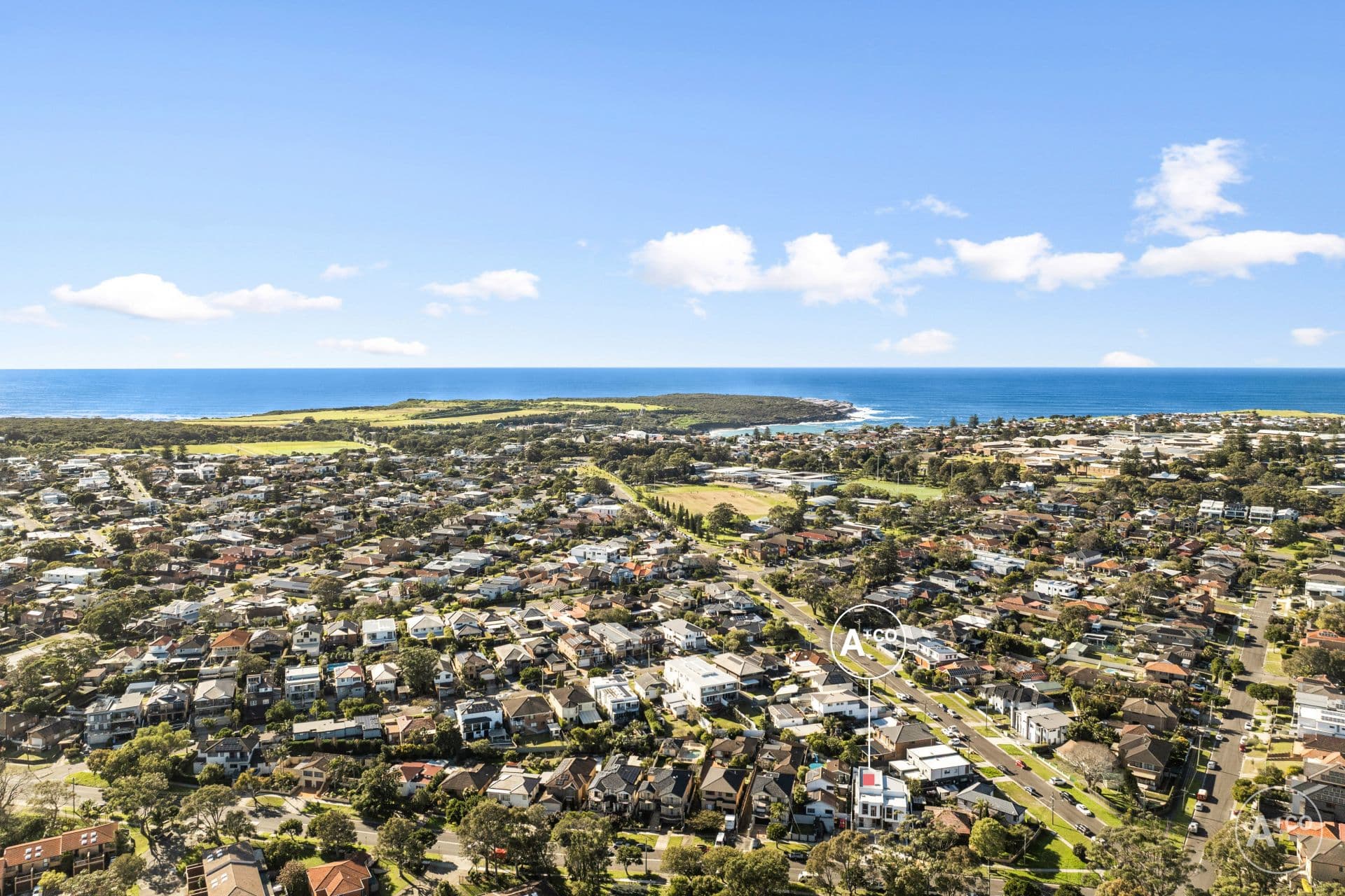 31A Wassell Street, Chifley, Chifley - Image 1