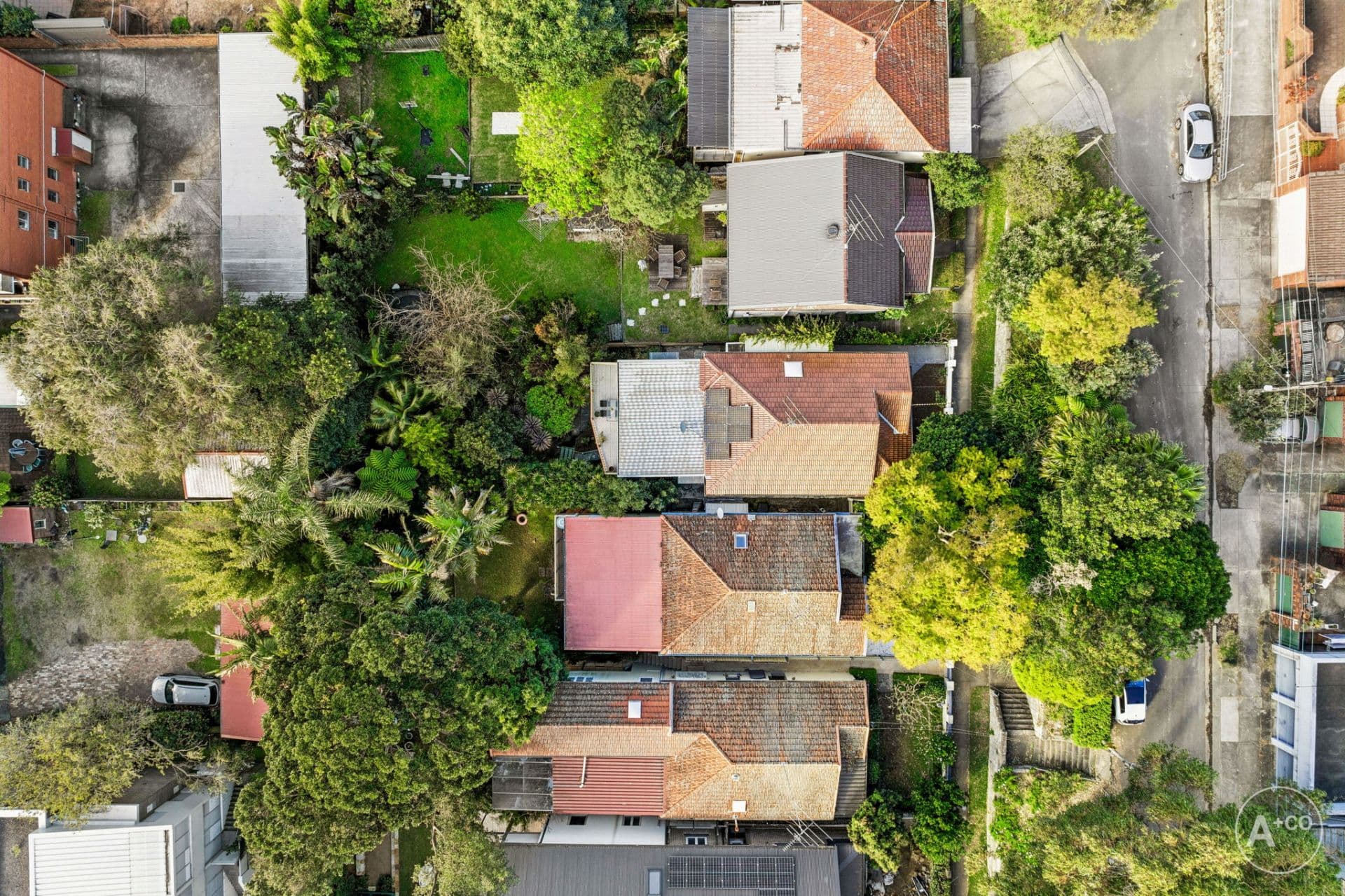 17A Dolphin Street, Randwick, Randwick - Image 1