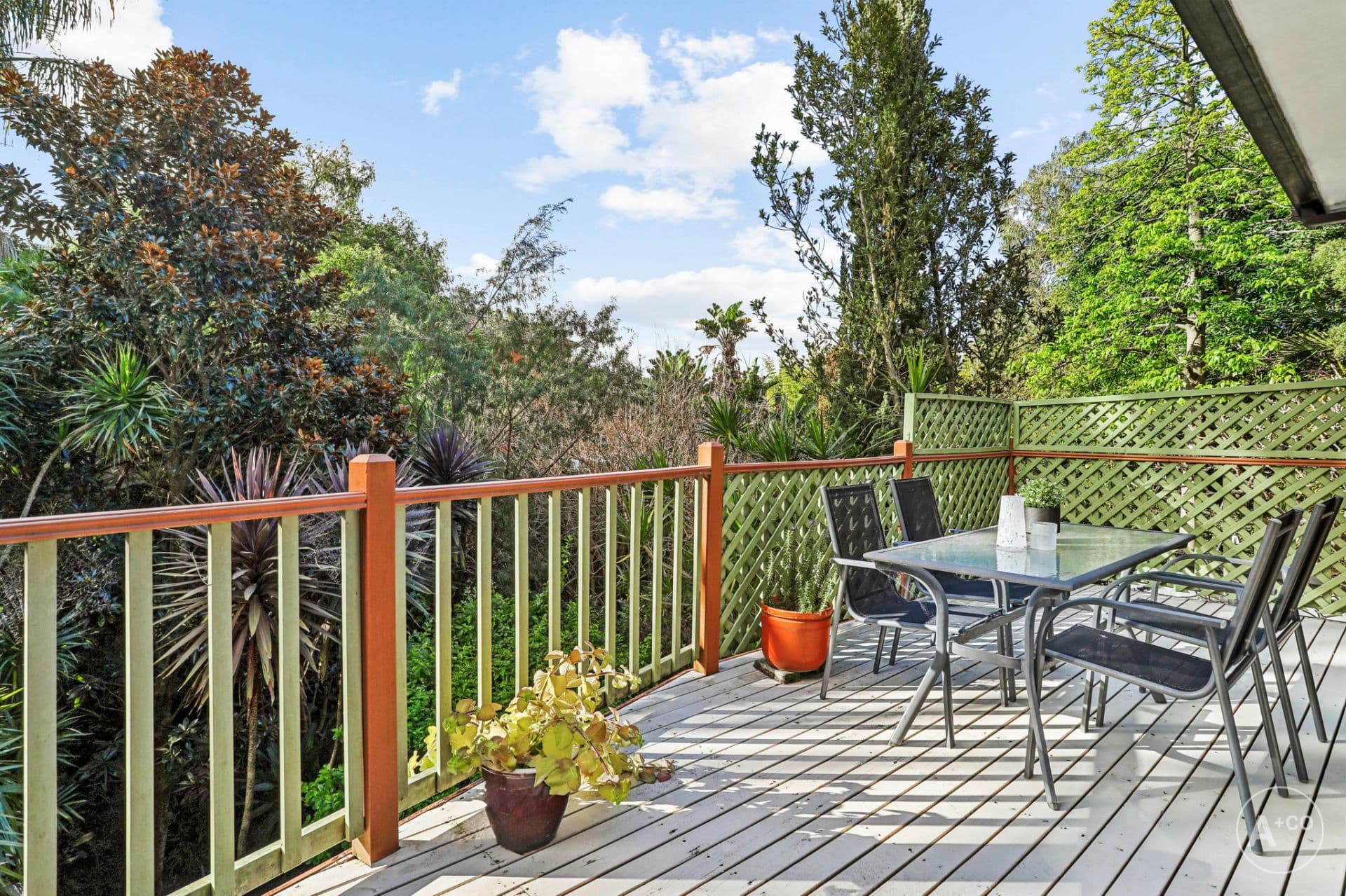 17A Dolphin Street, Randwick, Randwick - Thumbnail 3