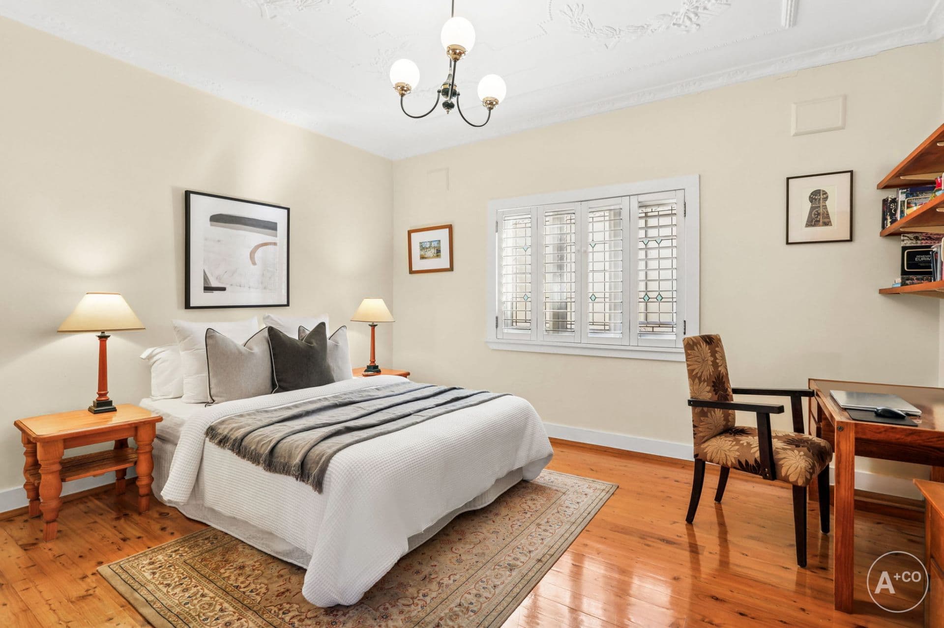 17A Dolphin Street, Randwick, Randwick - Thumbnail 5