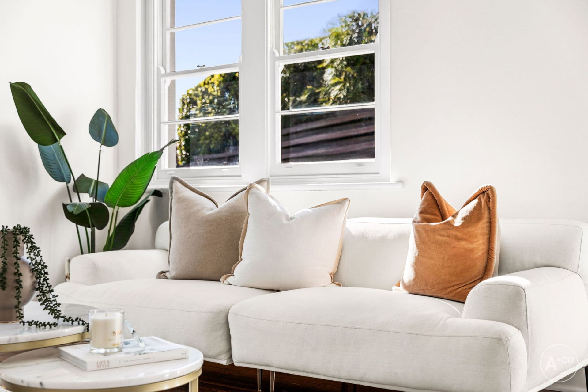 81 Hinkler Street, Maroubra, Maroubra - Thumbnail 4