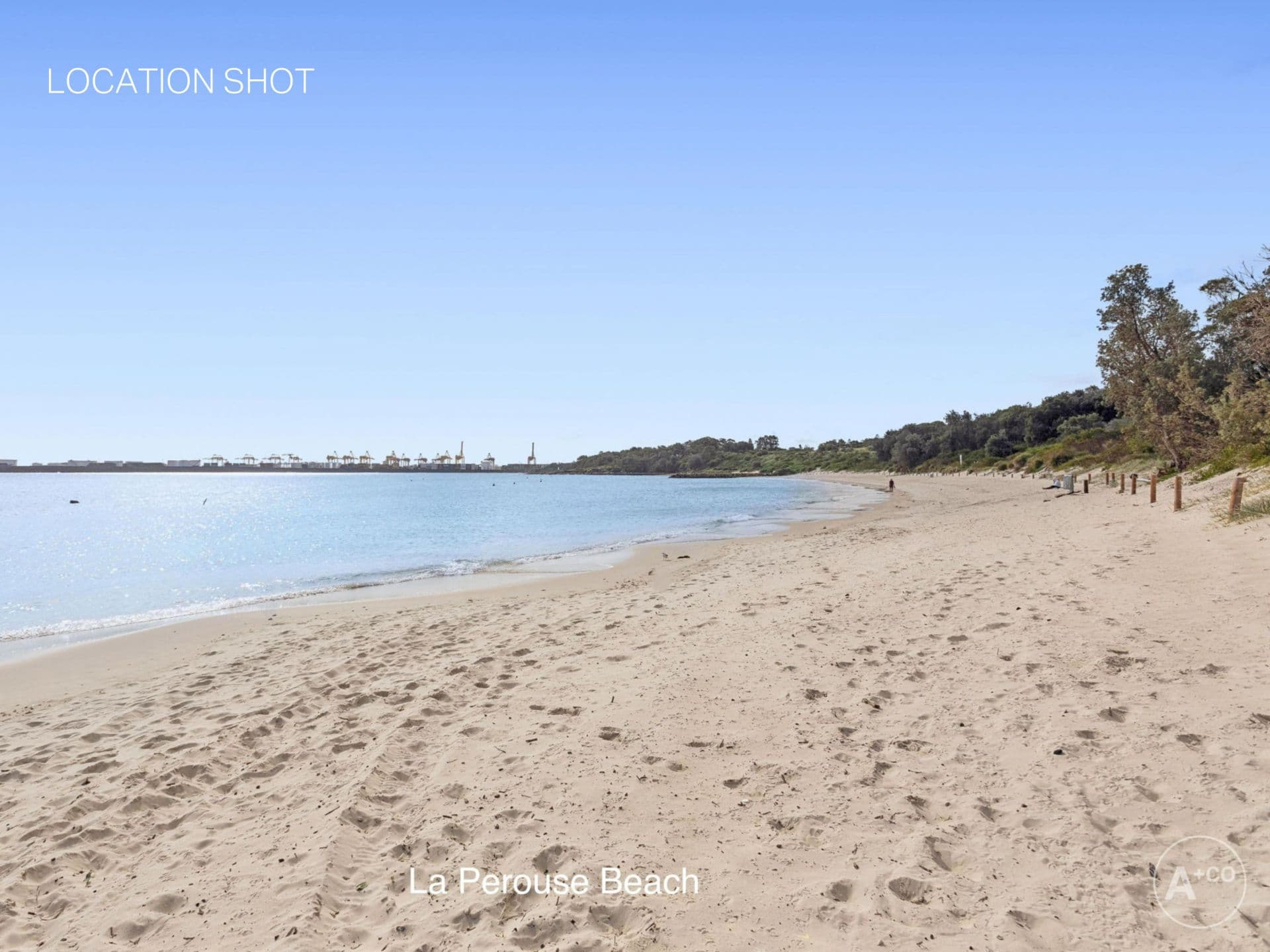 64 Mawson Parade, Chifley, Chifley - Image 1