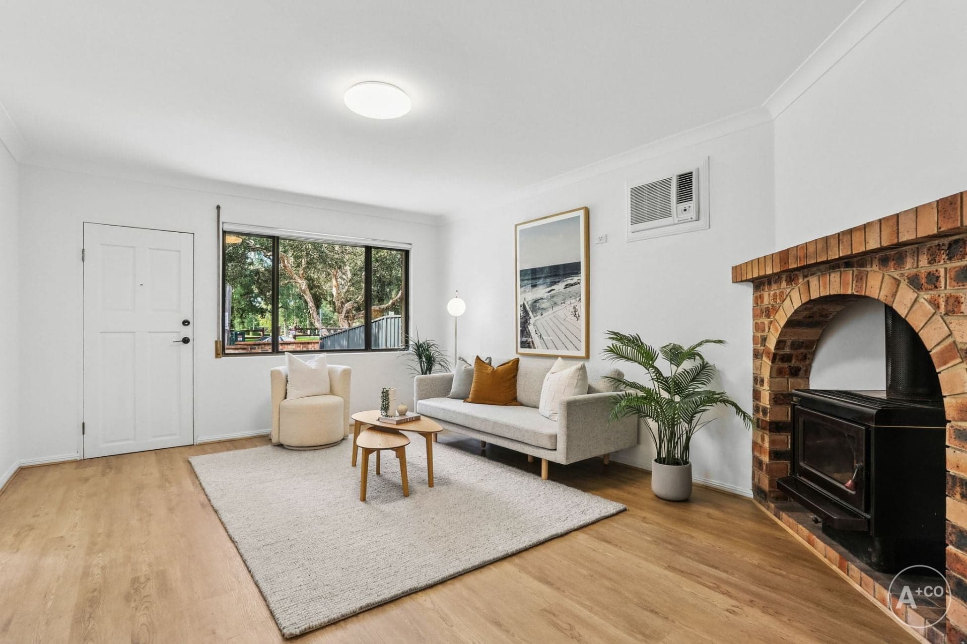 24 Tupia Street, Botany, Botany - Thumbnail 3