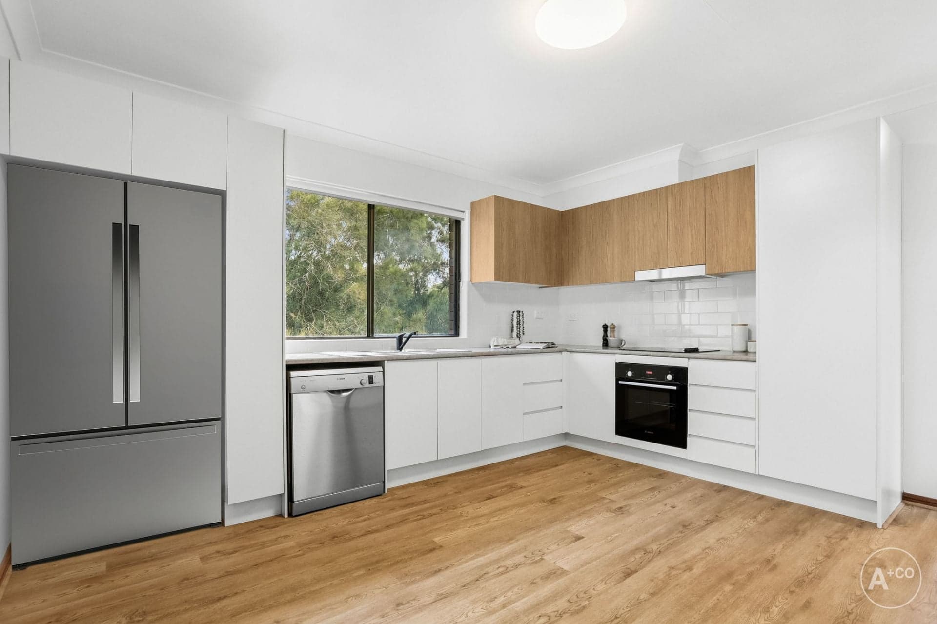 24 Tupia Street, Botany, Botany - Thumbnail 7