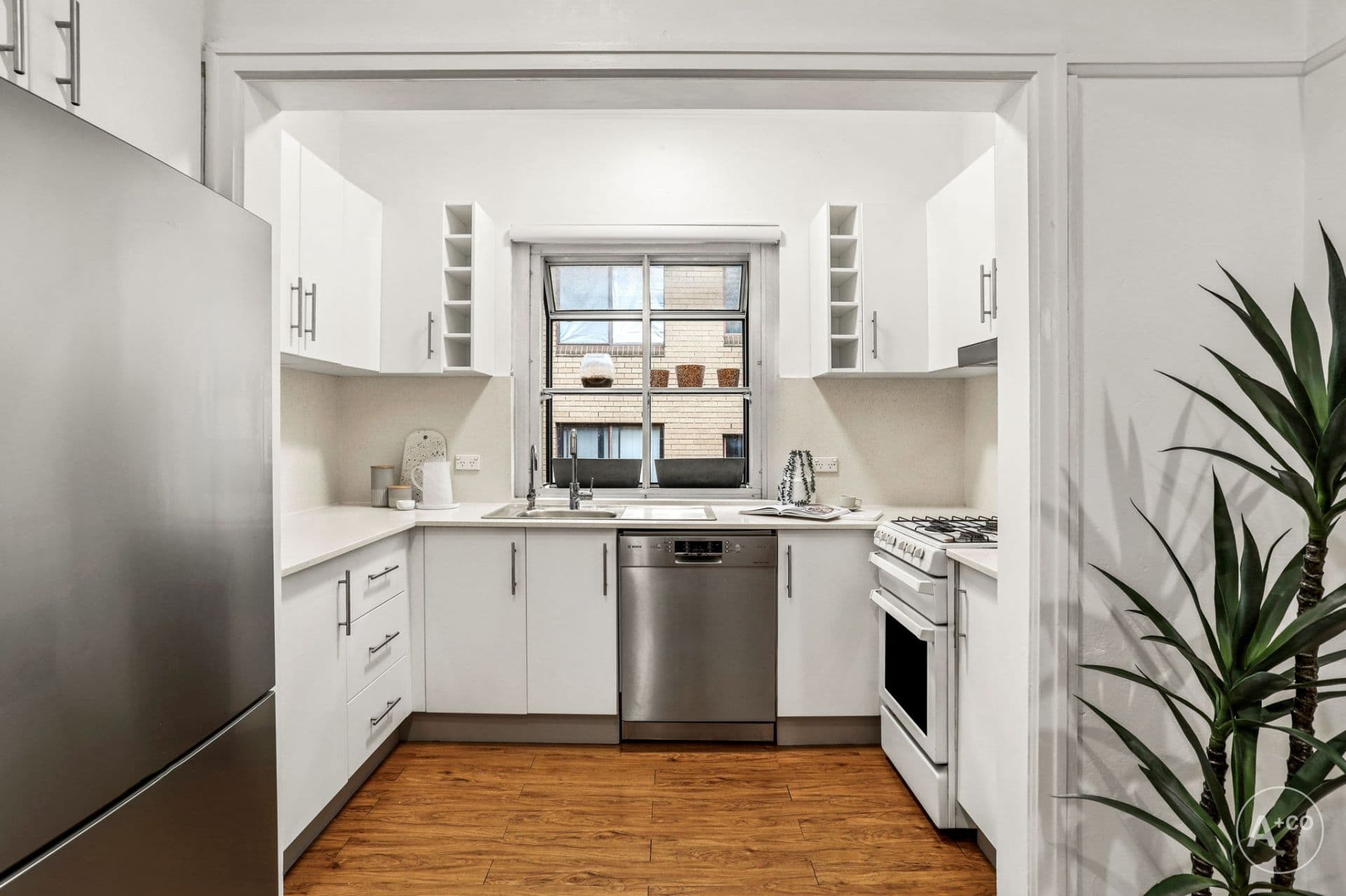 6/18 Duke Street, Kensington, Kensington - Thumbnail 4