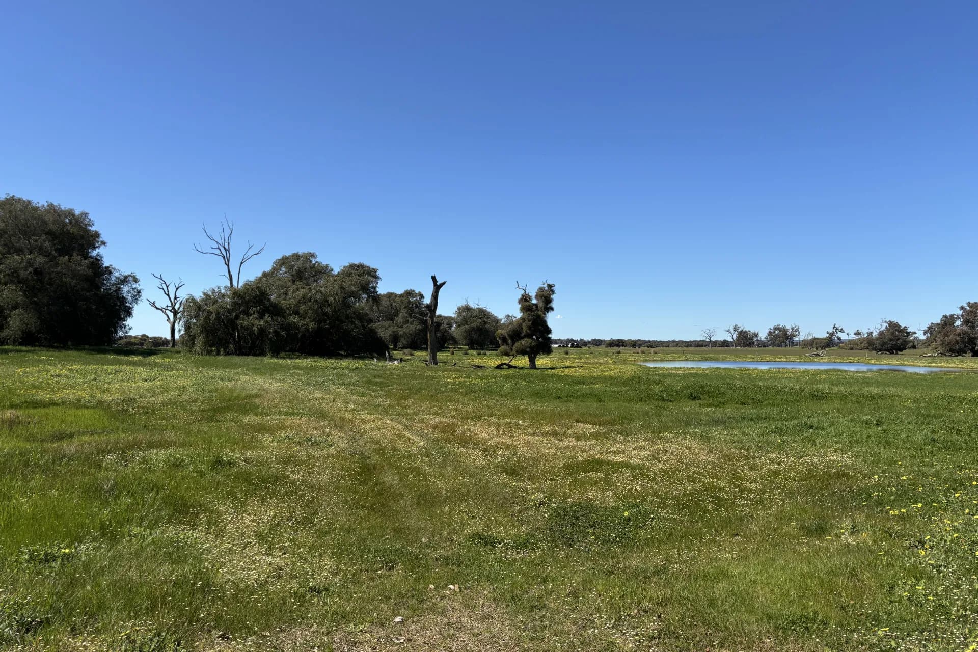 Lot 1 Jilley Road, Boyanup - Thumbnail 4