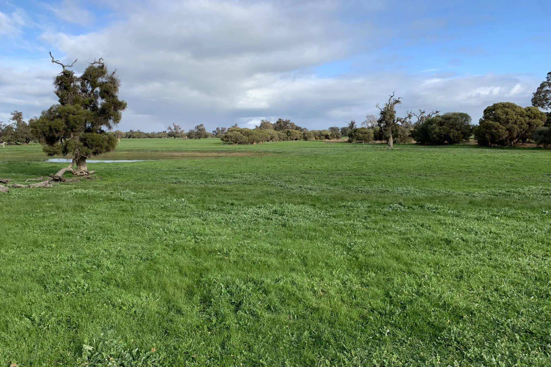 Lot 1 Jilley Road, Boyanup - Thumbnail 6