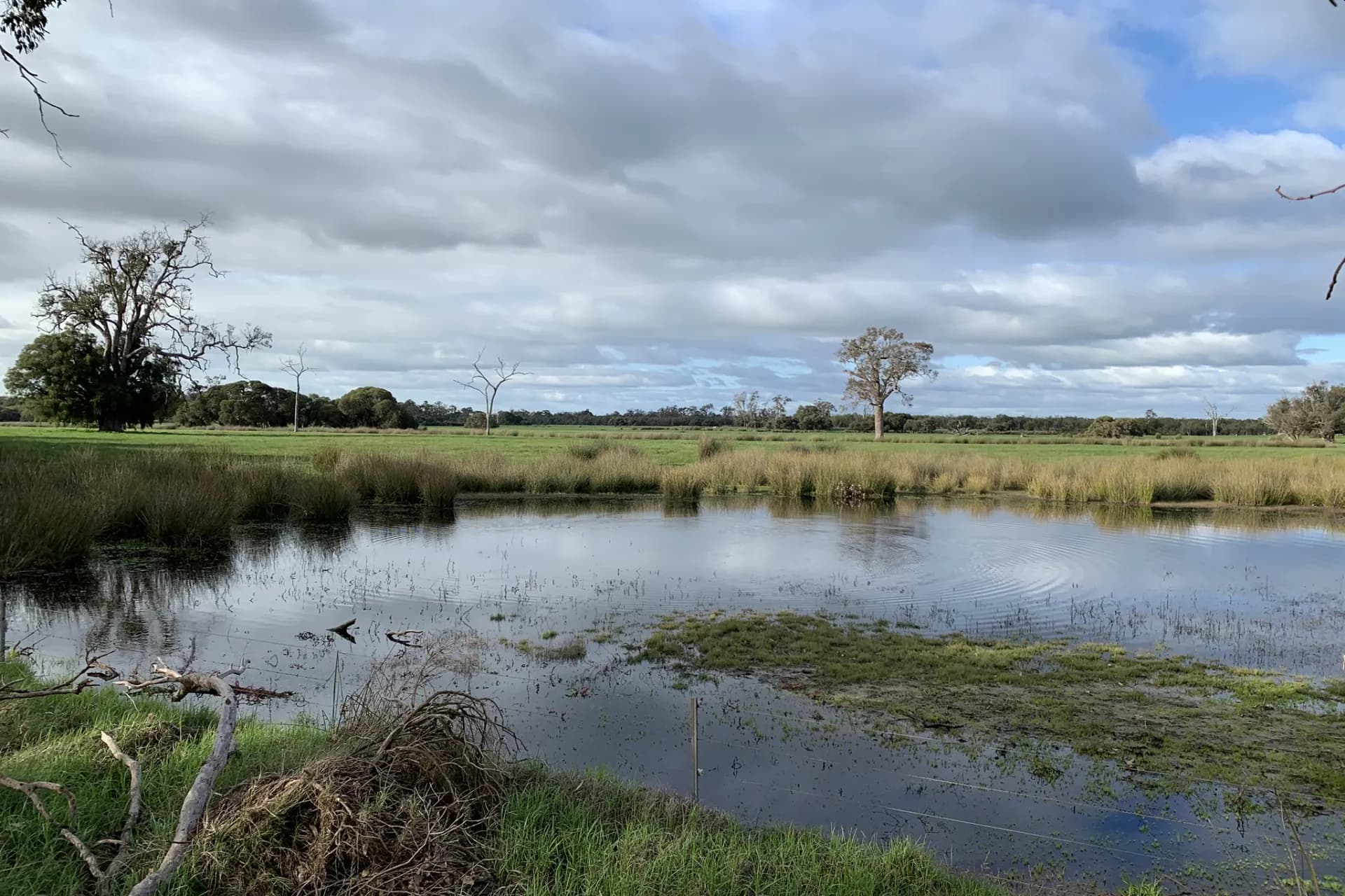 Lot 1 Jilley Road, Boyanup - Thumbnail 7