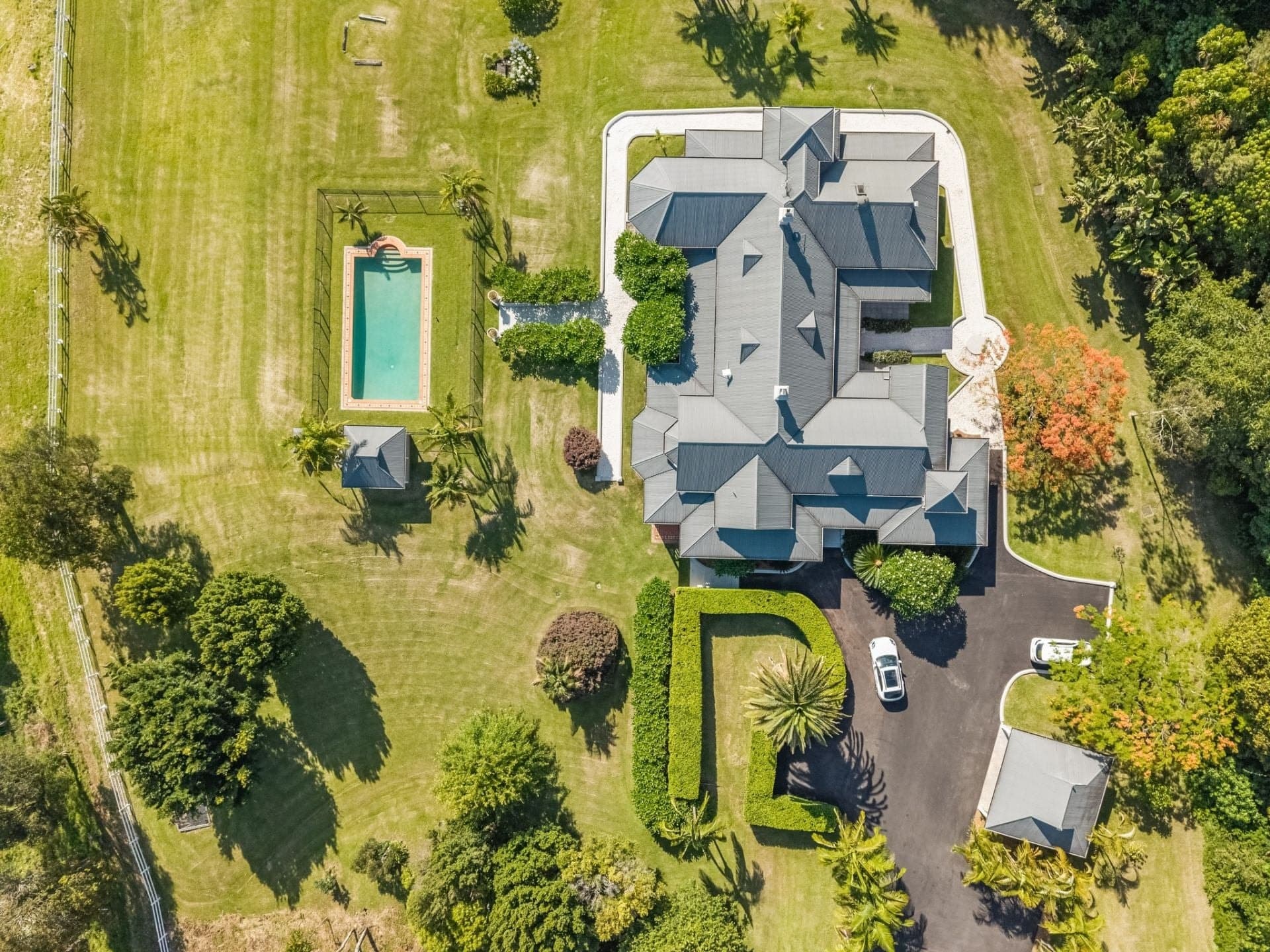 293 Myocum Road Ewingsdale NSW, Ewingsdale - Thumbnail 6