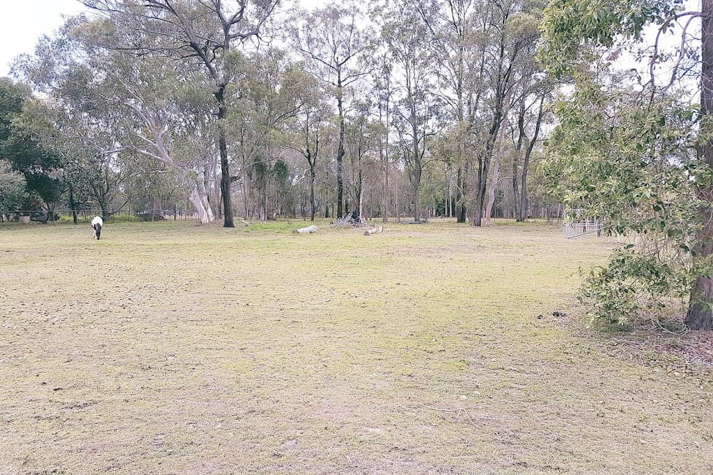 146 BAGNALL, Ellen Grove, QLD, 4078, Ellen Grove - Thumbnail 3