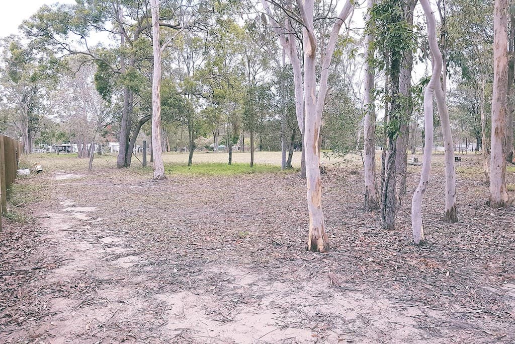 146 BAGNALL, Ellen Grove, QLD, 4078, Ellen Grove - Thumbnail 5