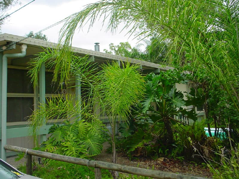232 JONES, Bellbird Park, QLD, 4300, Bellbird Park - Thumbnail 6