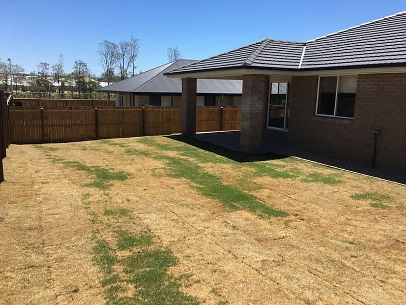 5 Olivine Circuit, Yarrabilba, QLD, 4207, Yarrabilba - Thumbnail 8