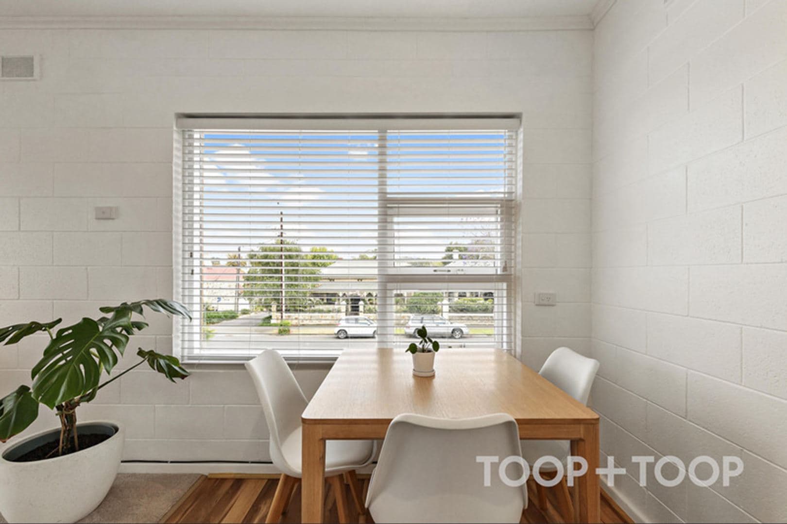5 / 213 Young Street,Unley SA 5061, Unley - Thumbnail 4