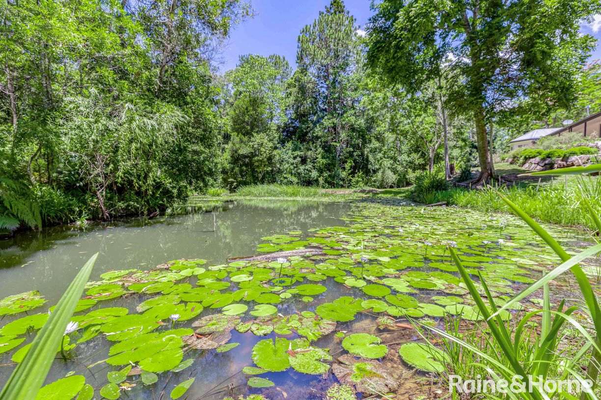 797 Pomona Kin Kin Road, Kin Kin, QLD 4571, Kin Kin - Image 1