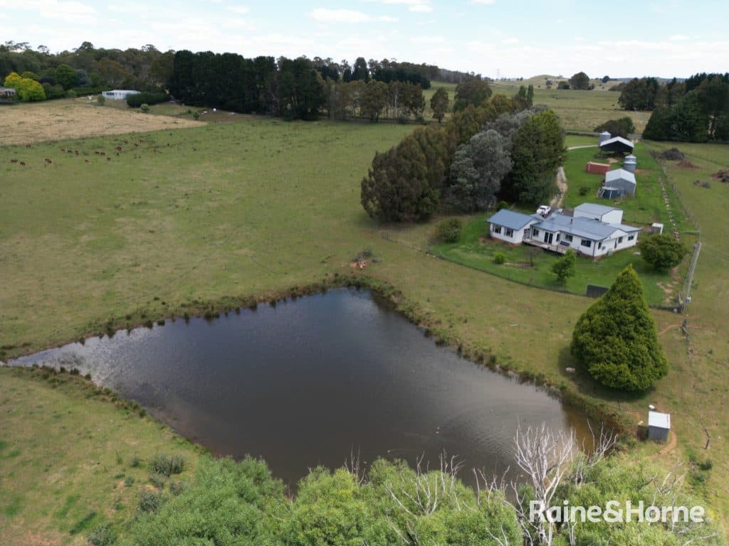 308 Dog Rocks Road, Black Springs, NSW 2787, Black Springs - Image 1